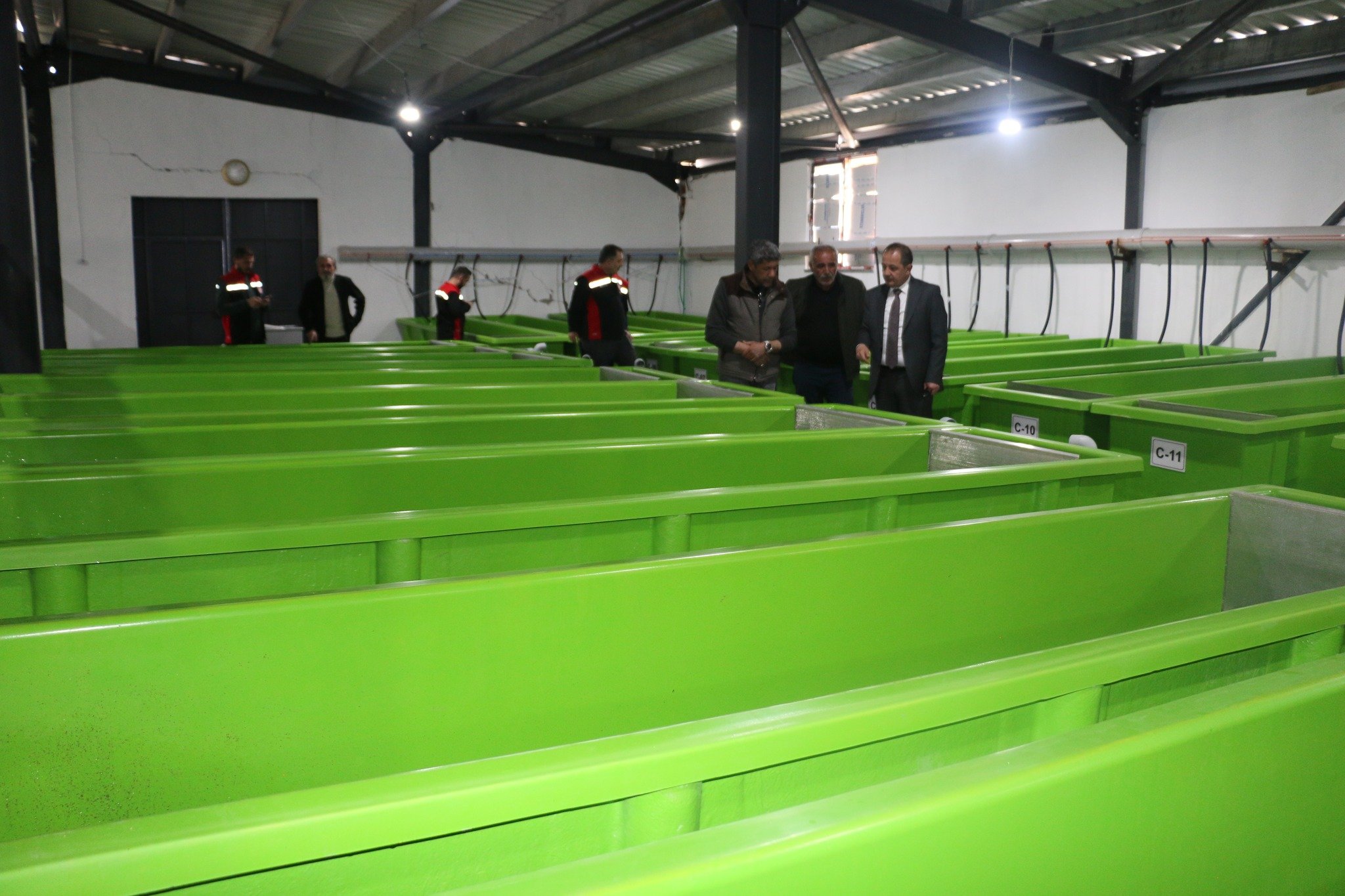 Alabalık Tesisi Çayırlı (8)