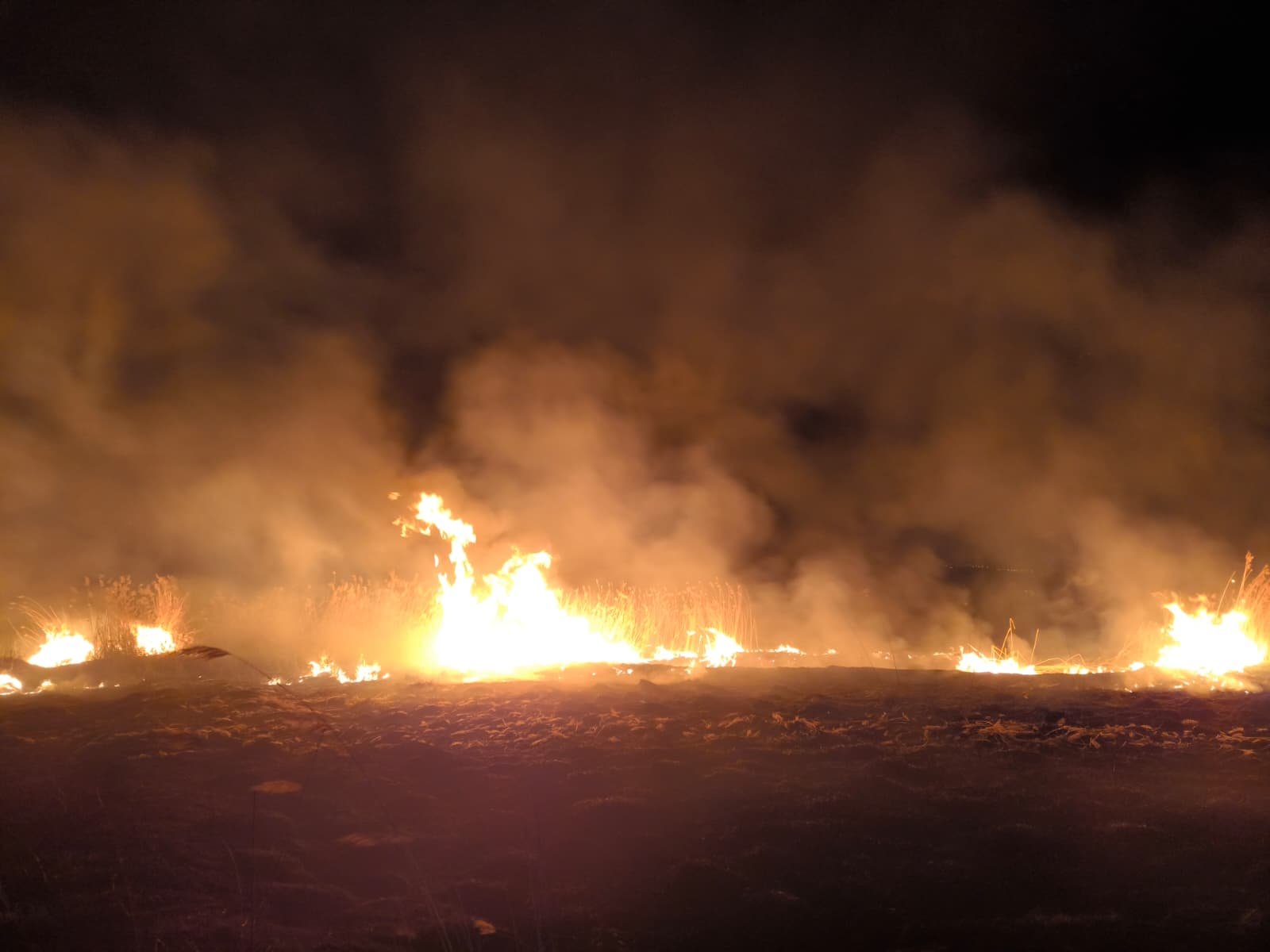 Erzincan Arazi Yangını (1)