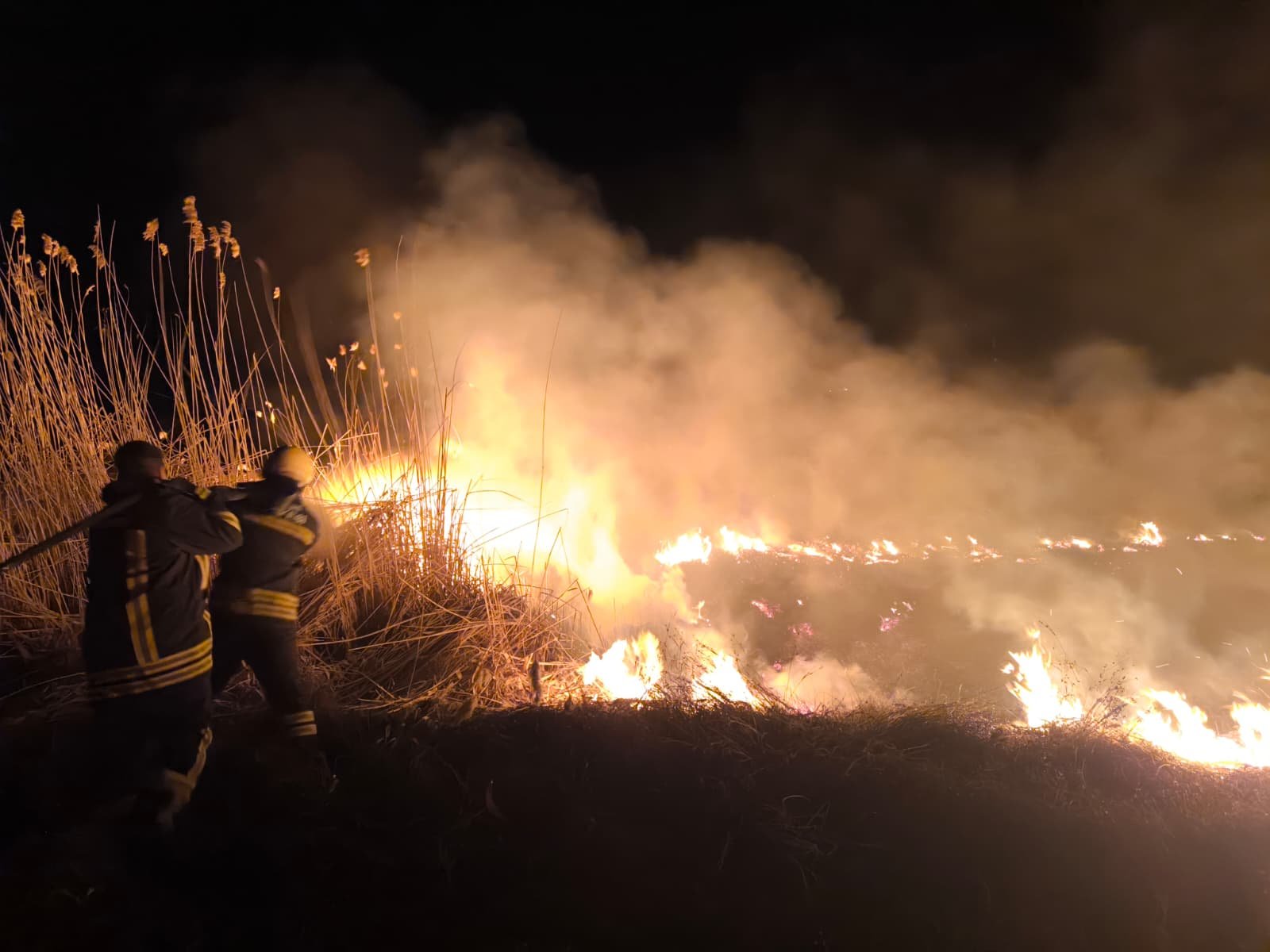 Erzincan Arazi Yangını (3)