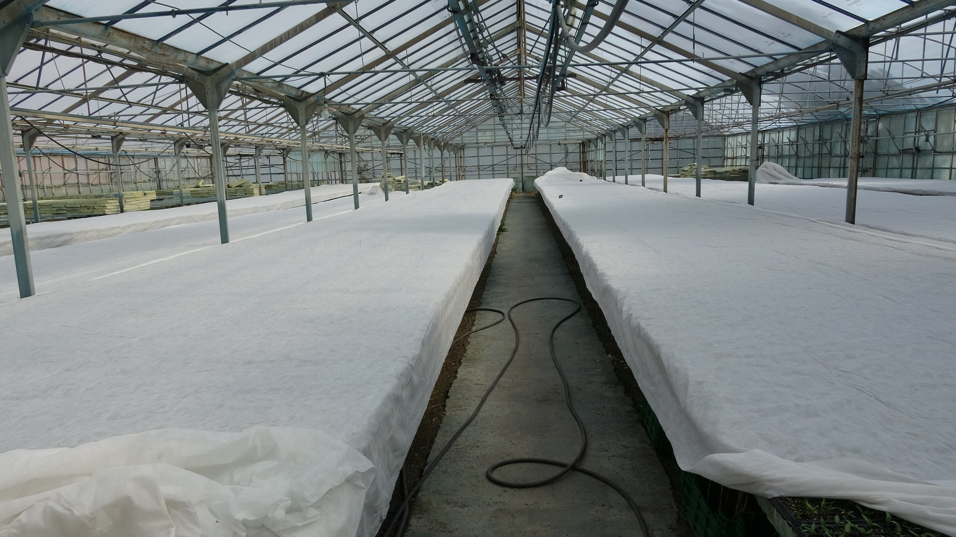 Erzincan dondu, üretici ayakta: Seralarda gece savaşı!