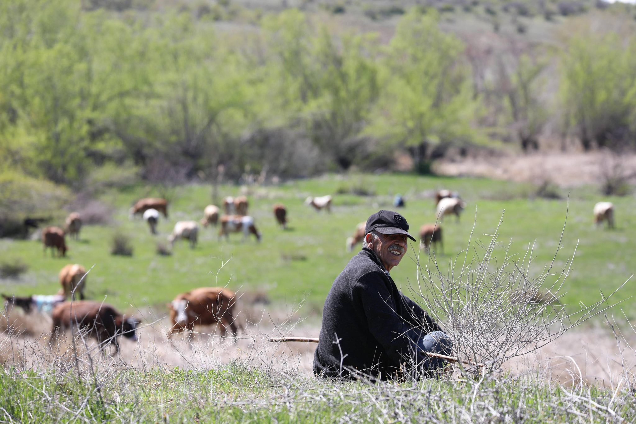 Erzincan’da Bahar Patladı Doğa Adeta Yeniden Doğuyor (3)