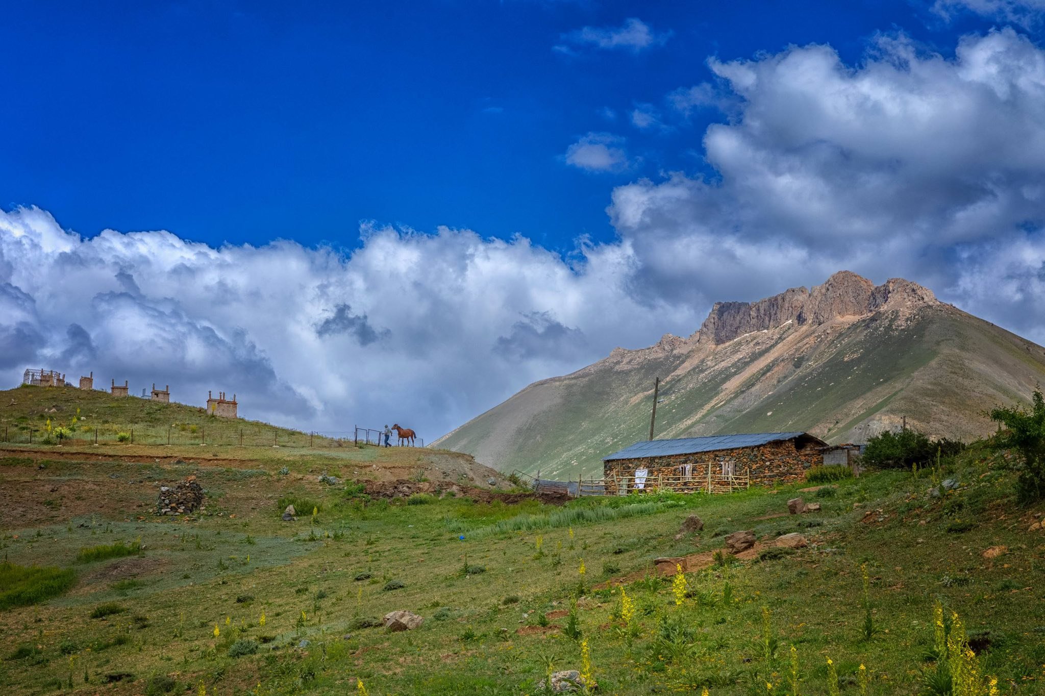 Erzincan’da Bahar Patladı Doğa Adeta Yeniden Doğuyor (8)