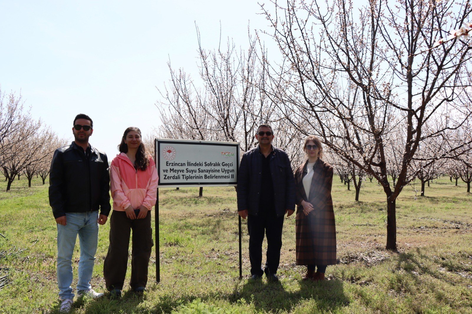 Erzincan’da Kayısı Için Kritik Iş Birliği Arazi Çalışmaları Sürüyor (1)