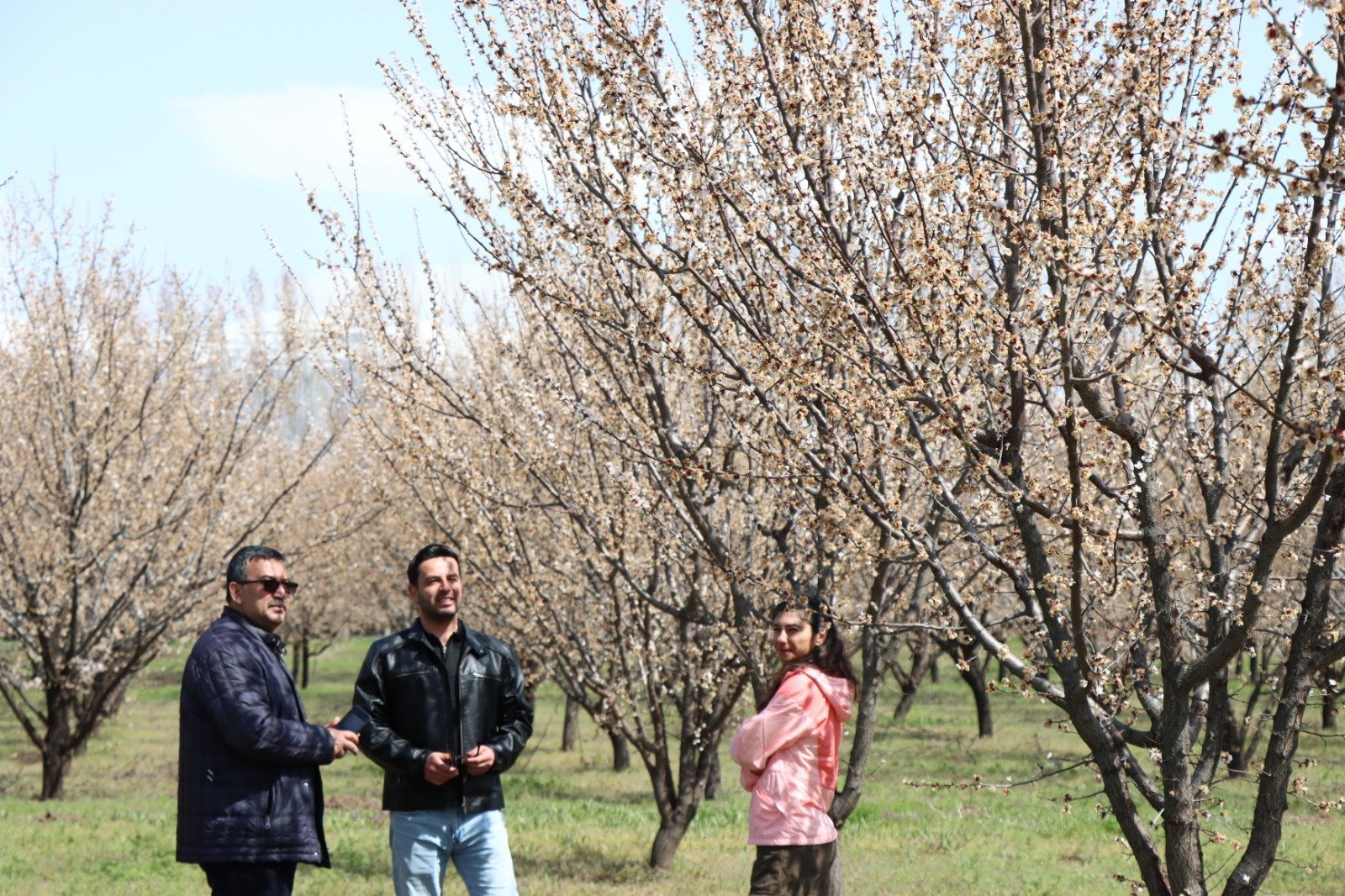 Erzincan’da Kayısı Için Kritik Iş Birliği Arazi Çalışmaları Sürüyor (4)