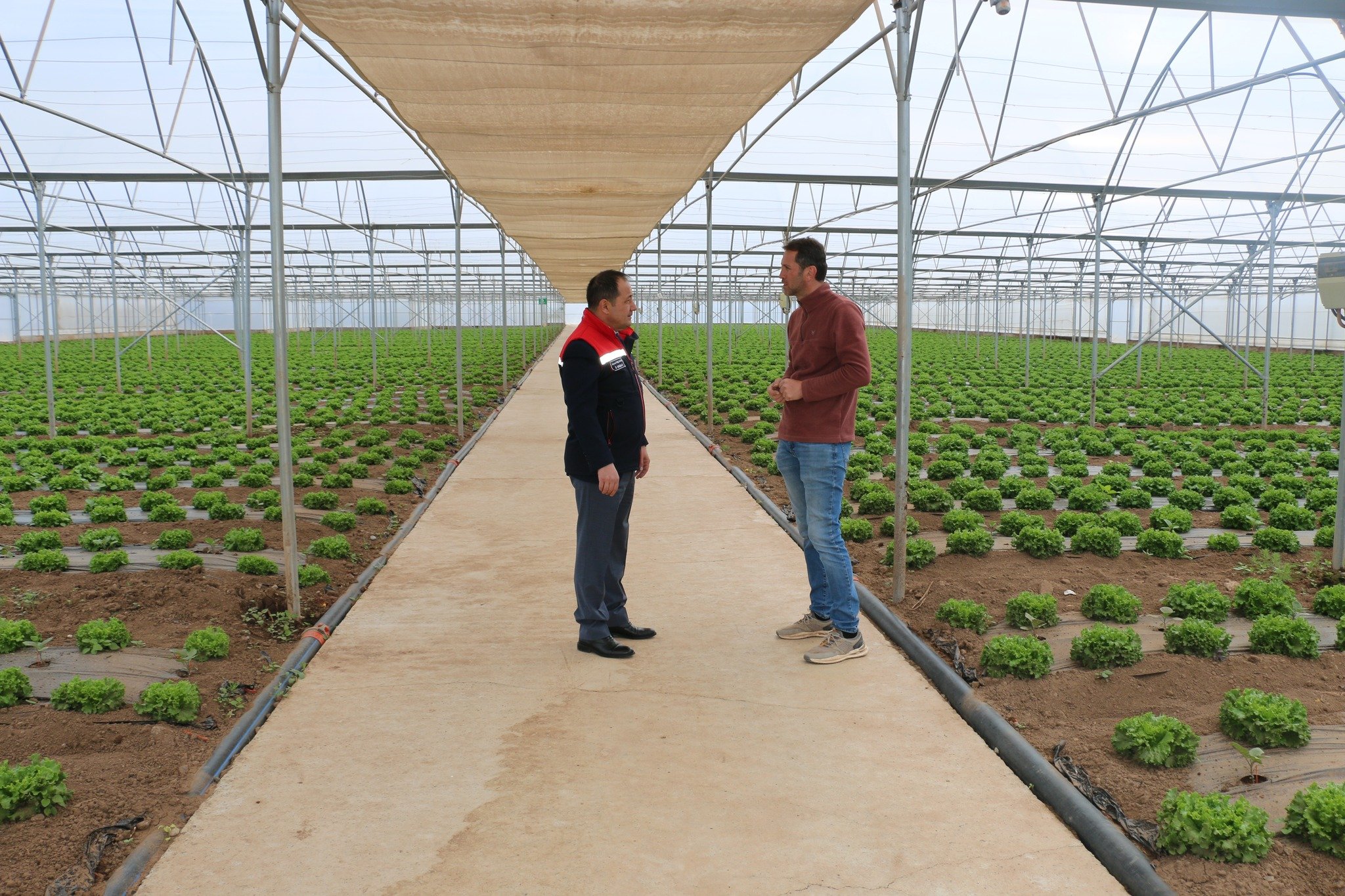 Erzincanda Örnek Üretim (2)