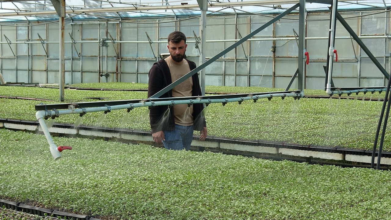 Erzincan’ın Ilk Serasından Çevre Illere Fide Üretimi 1