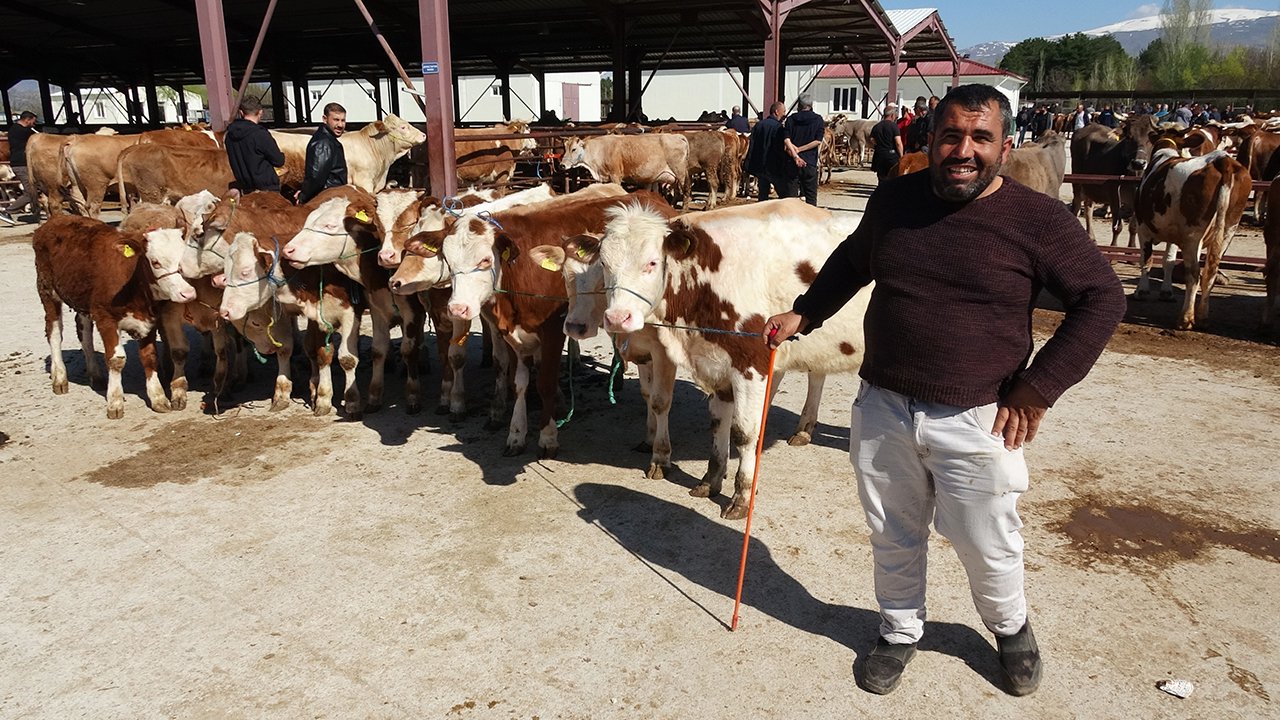 İşte Erzincan’da Kurbanlıkların Son Durumu 1