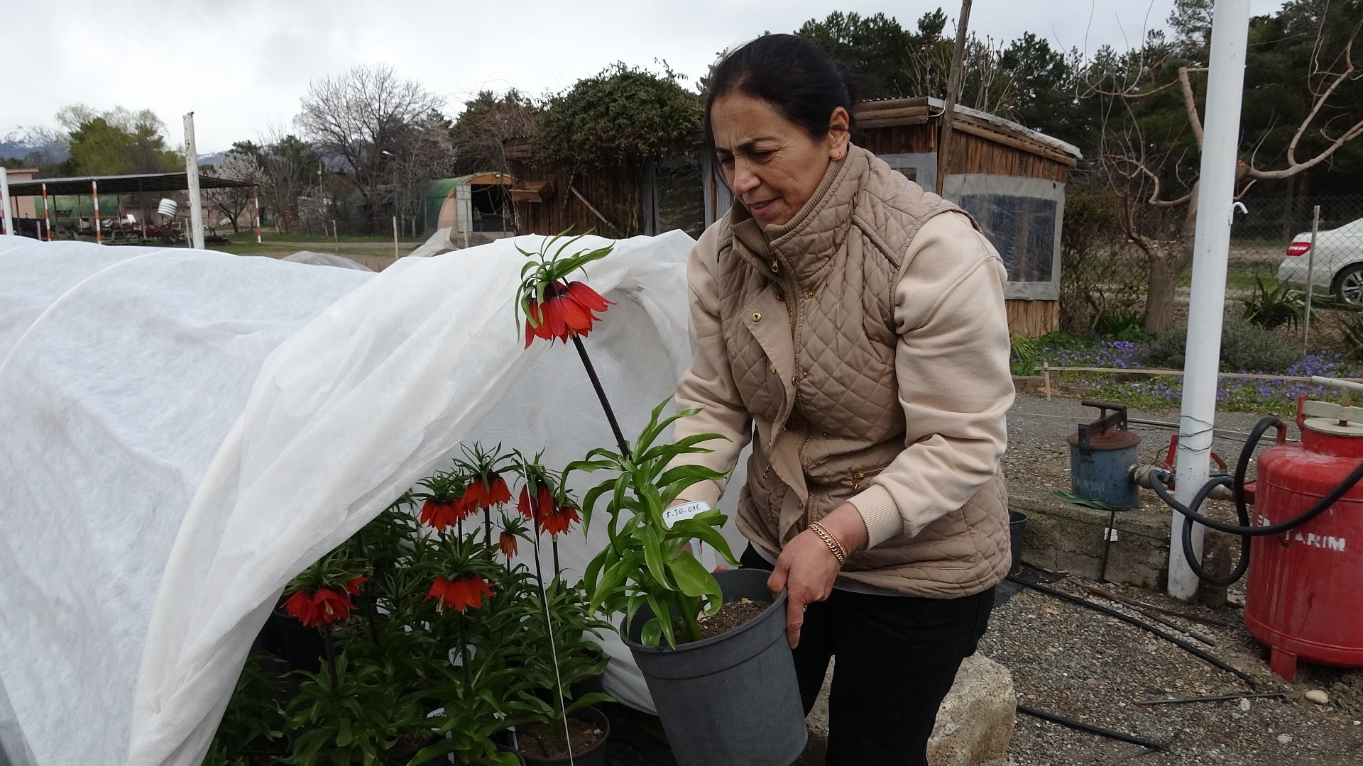 Koparmanın Bedeli 700 Bin Tl Erzincan’da Özel Bitkiye Özel İlgi1