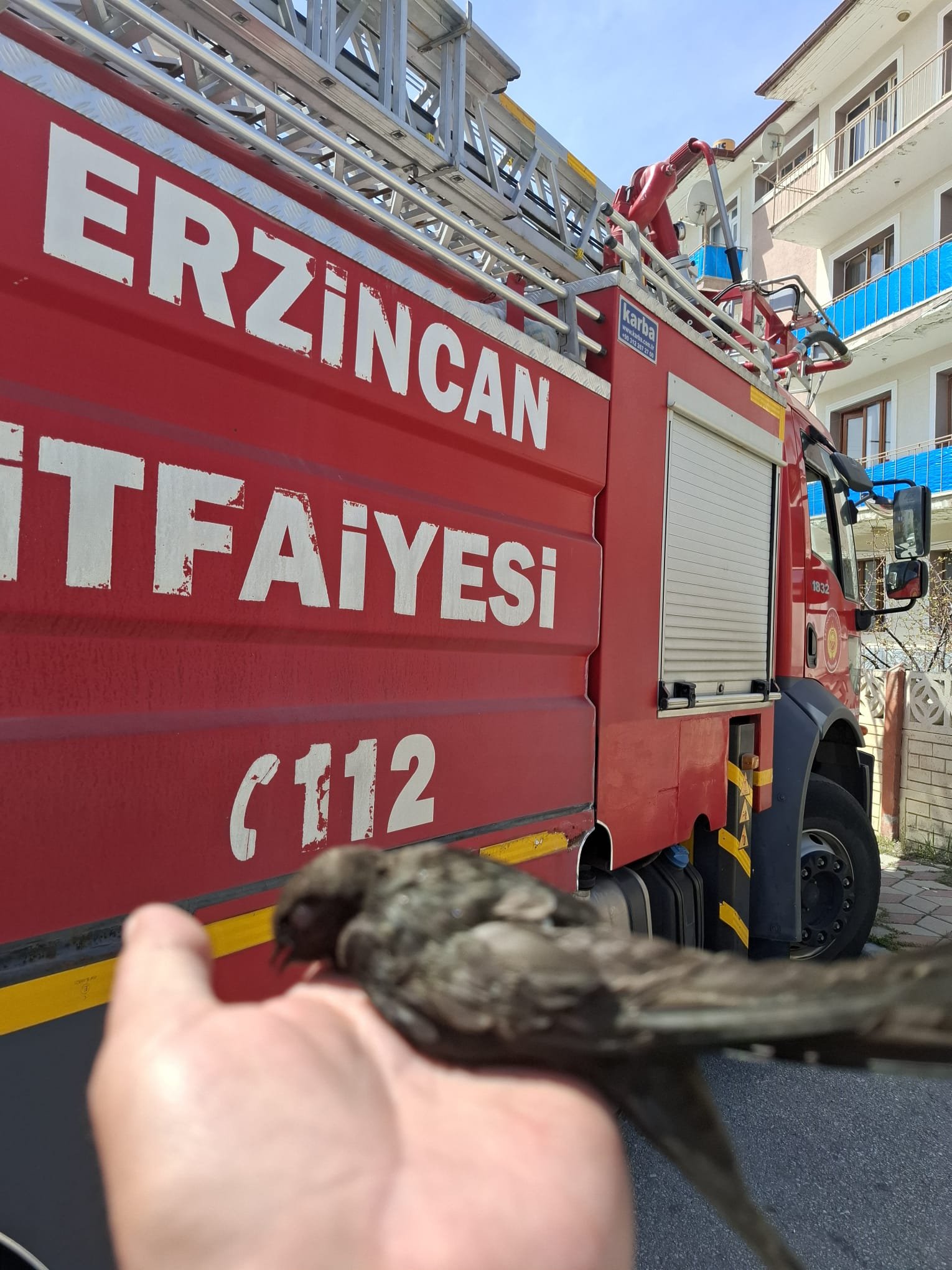 Merhametli Erzincan’ın Ihbarı Hayat Kurtardı (1)