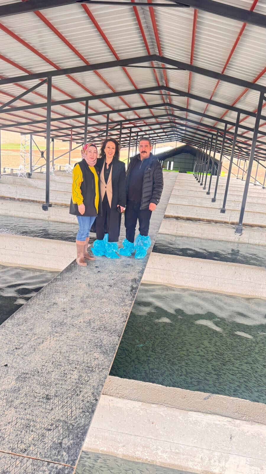 Tercan Su Ürünleri (7)