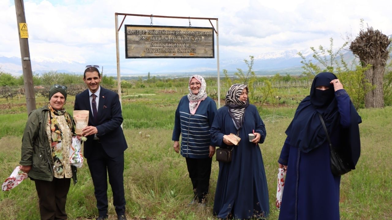 Bahçekültürleri Erzurumlu Çiftçiler Fasulye 3