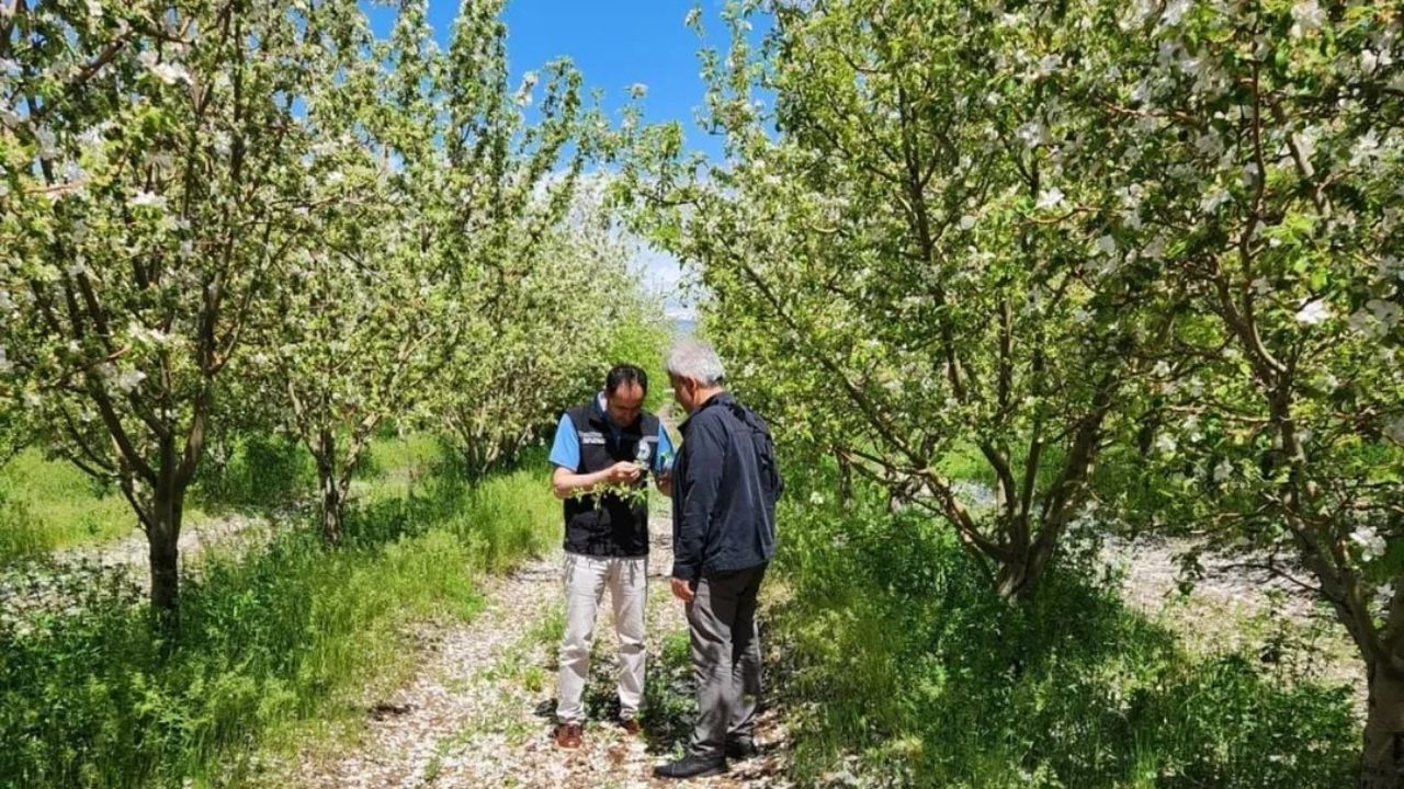 Erzincan’da Bilim Sahaya İndi Akademik Dokunuşla Bereketli Hasada Doğru!