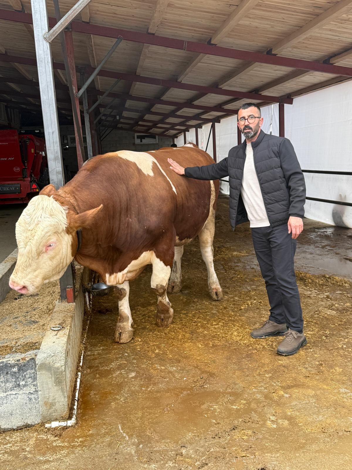 Erzincan’da Şok Kesim 380 Bin Tl’lik Dev Kurbanlık Alıcı Bulamadı!1