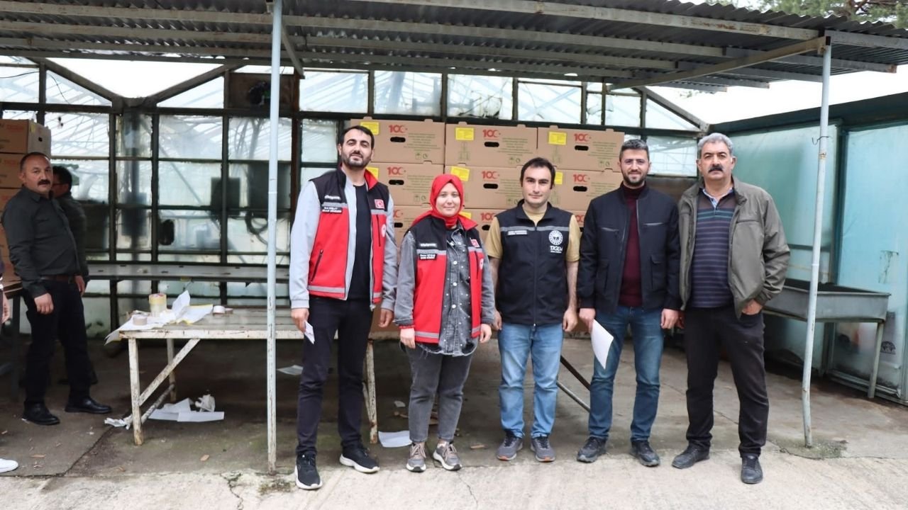 Erzincan’dan Bölgeye Bereket Köprüsü Yüz Binlerce Fide Toprakla Buluşuyor 1