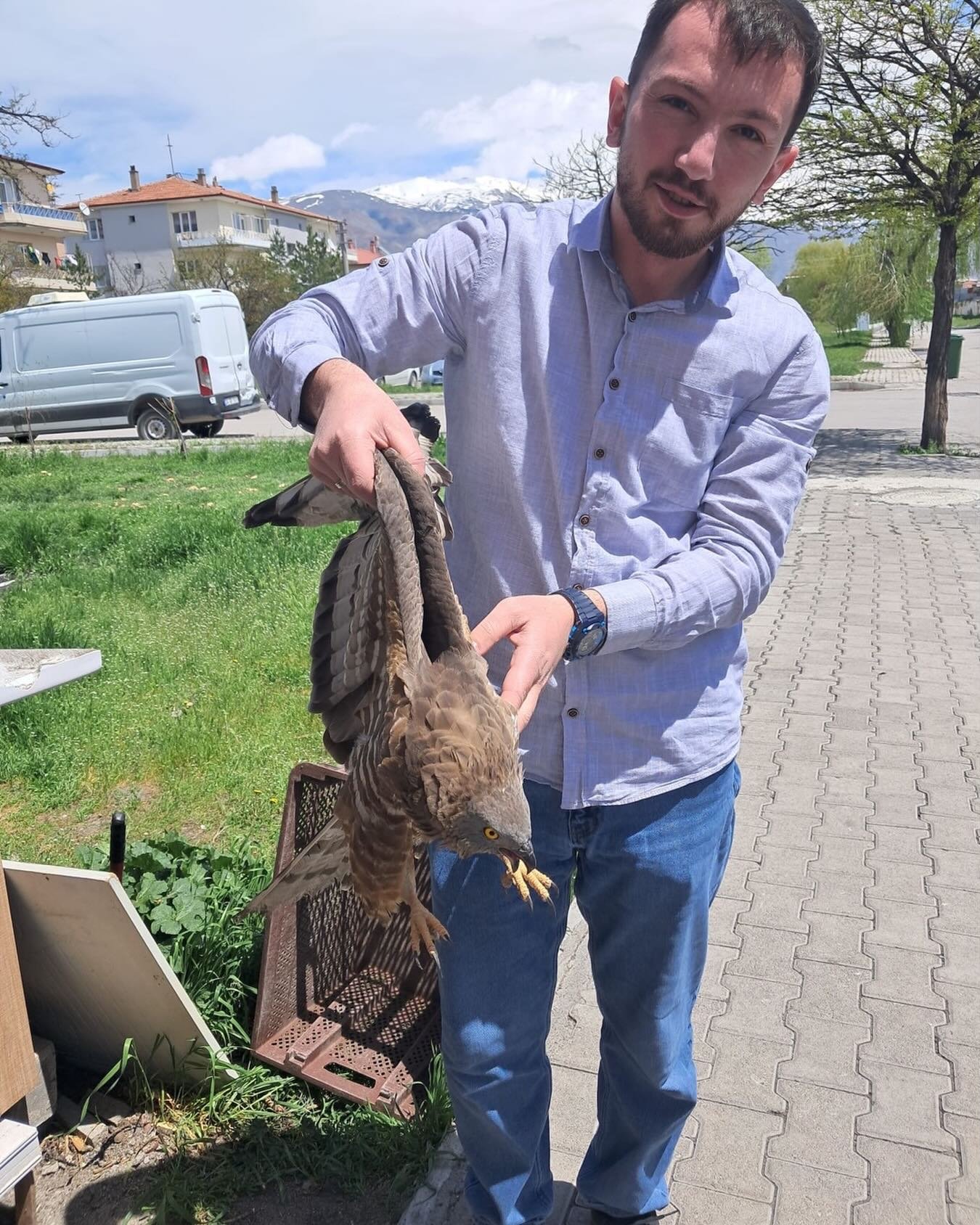 Erzincan'ın Kargaları Saldırdı, Yaralı Kurtuldu