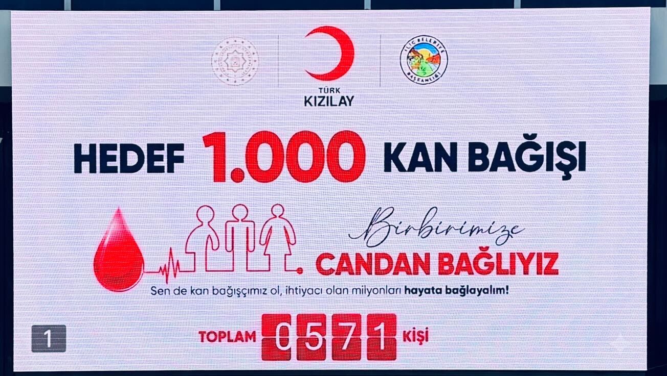 Iliç (2)