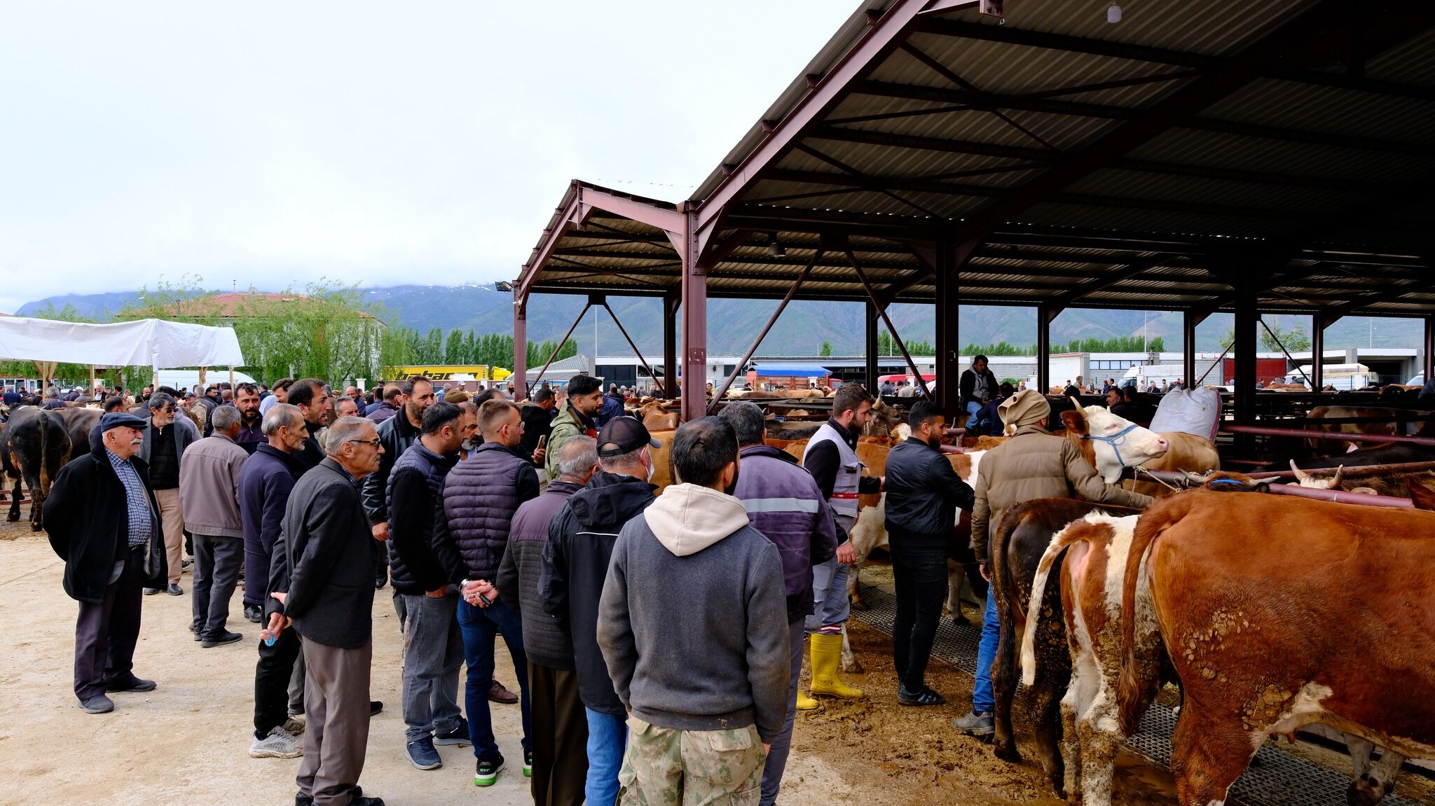 Kurban Pazarı (10)