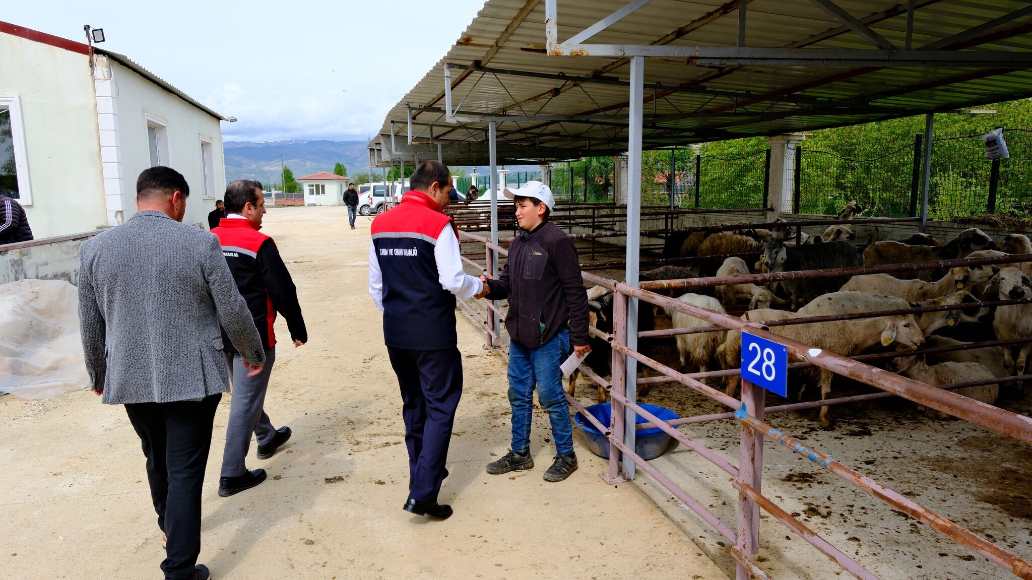 Kurban Pazarı (5)