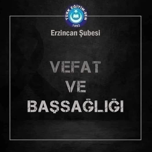 Türk Eğitim Sen