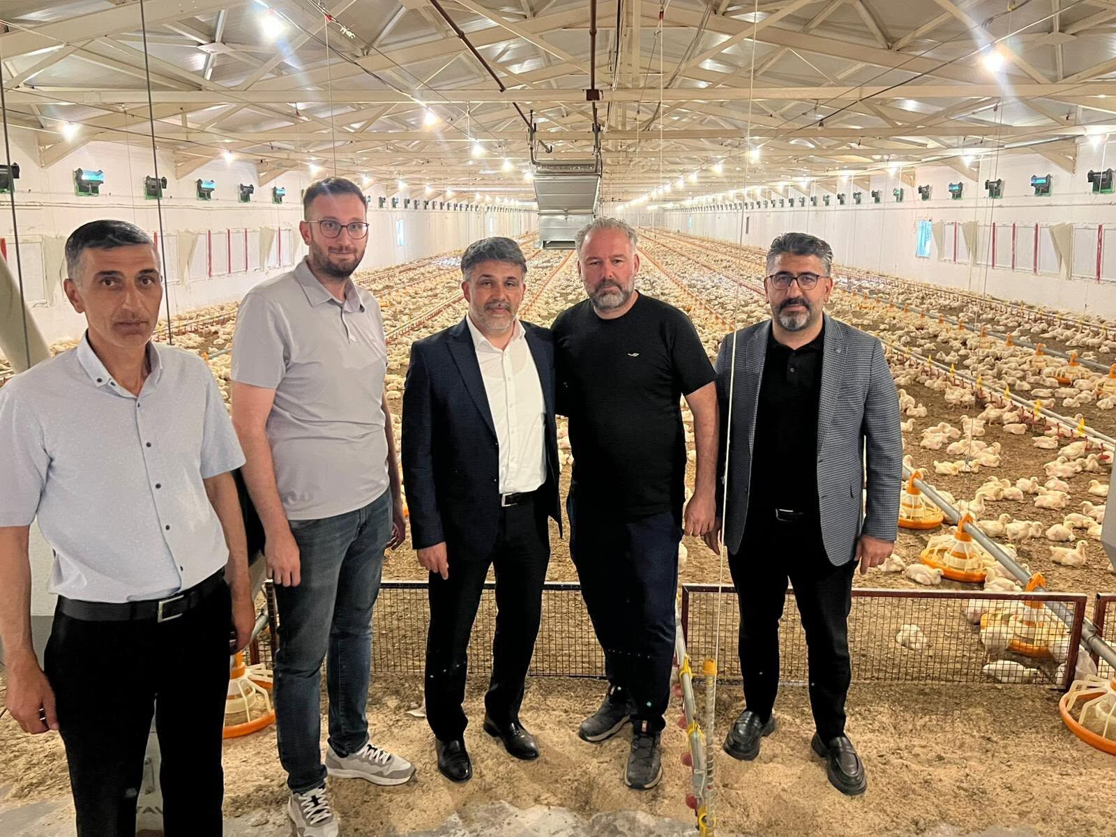 Alpay Kabadayı Broiler Sektörü (1)