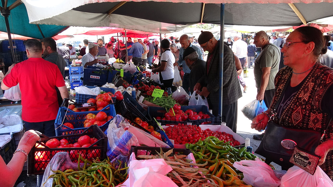 Erzincan Üzüm Yaprağı Çıktı.11