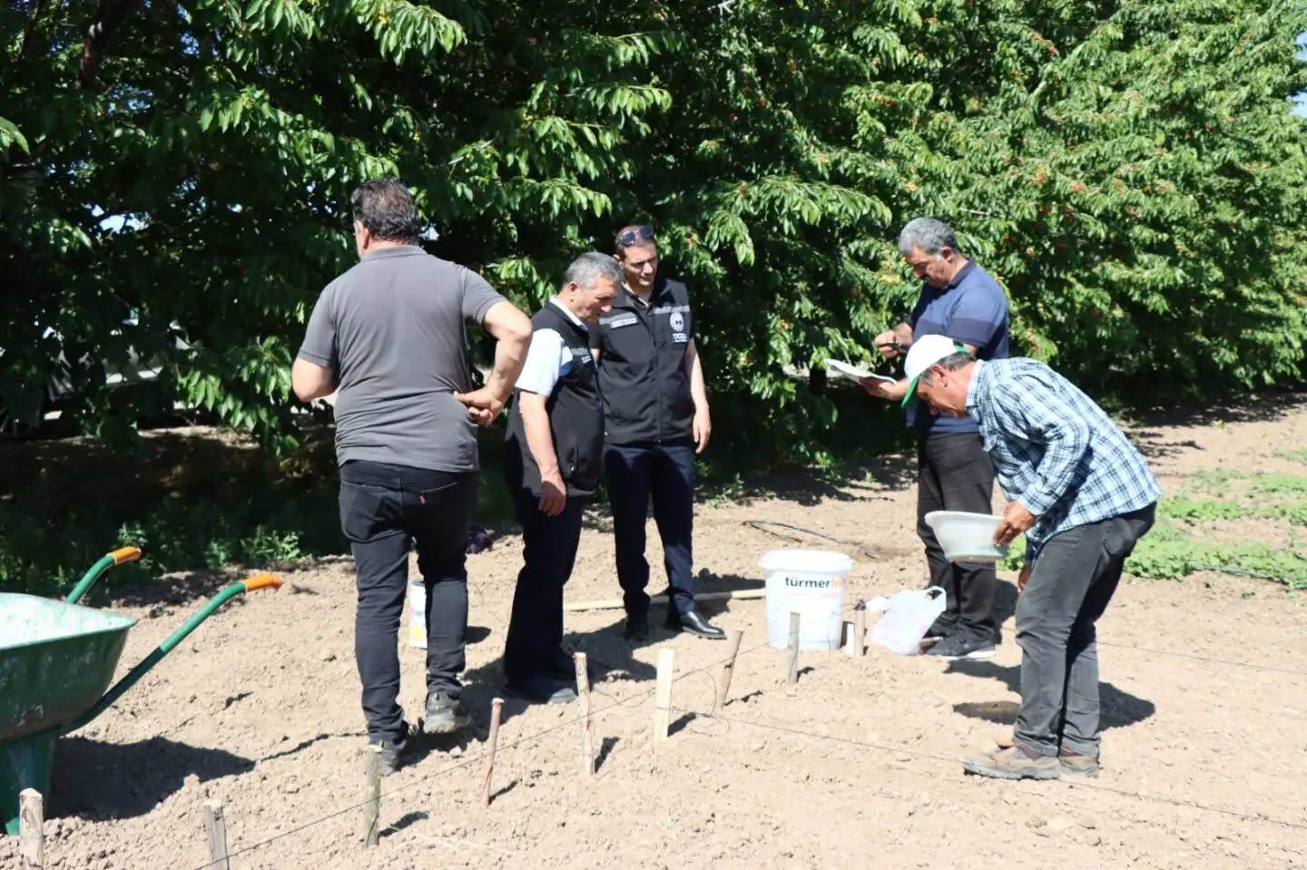 Erzincan’da İlk Kez Deneniyor! Çiftçiler İçin Yeni Kazanç Kapısı Olabilir (1)