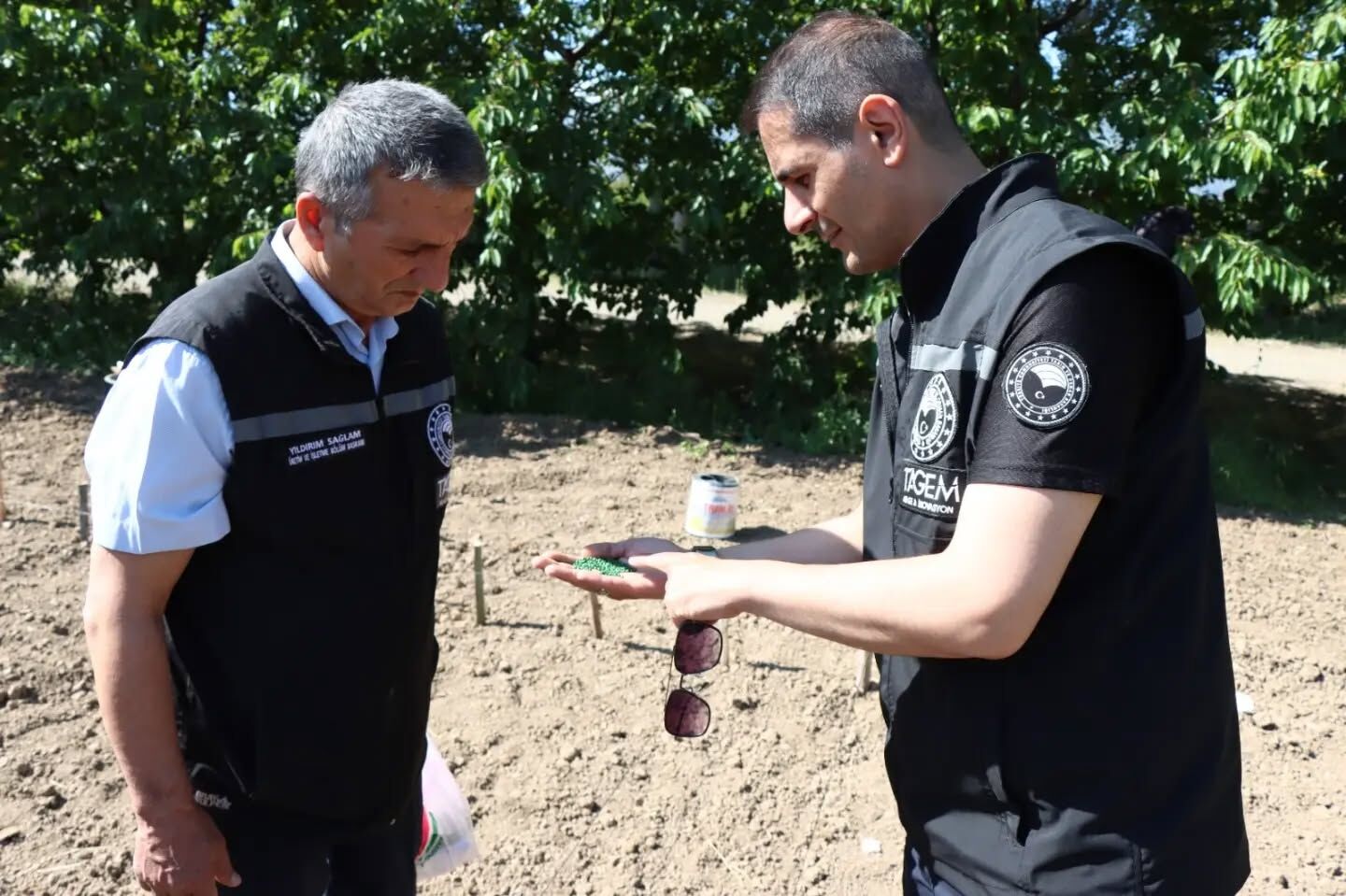 Erzincan’da İlk Kez Deneniyor! Çiftçiler İçin Yeni Kazanç Kapısı Olabilir (2)