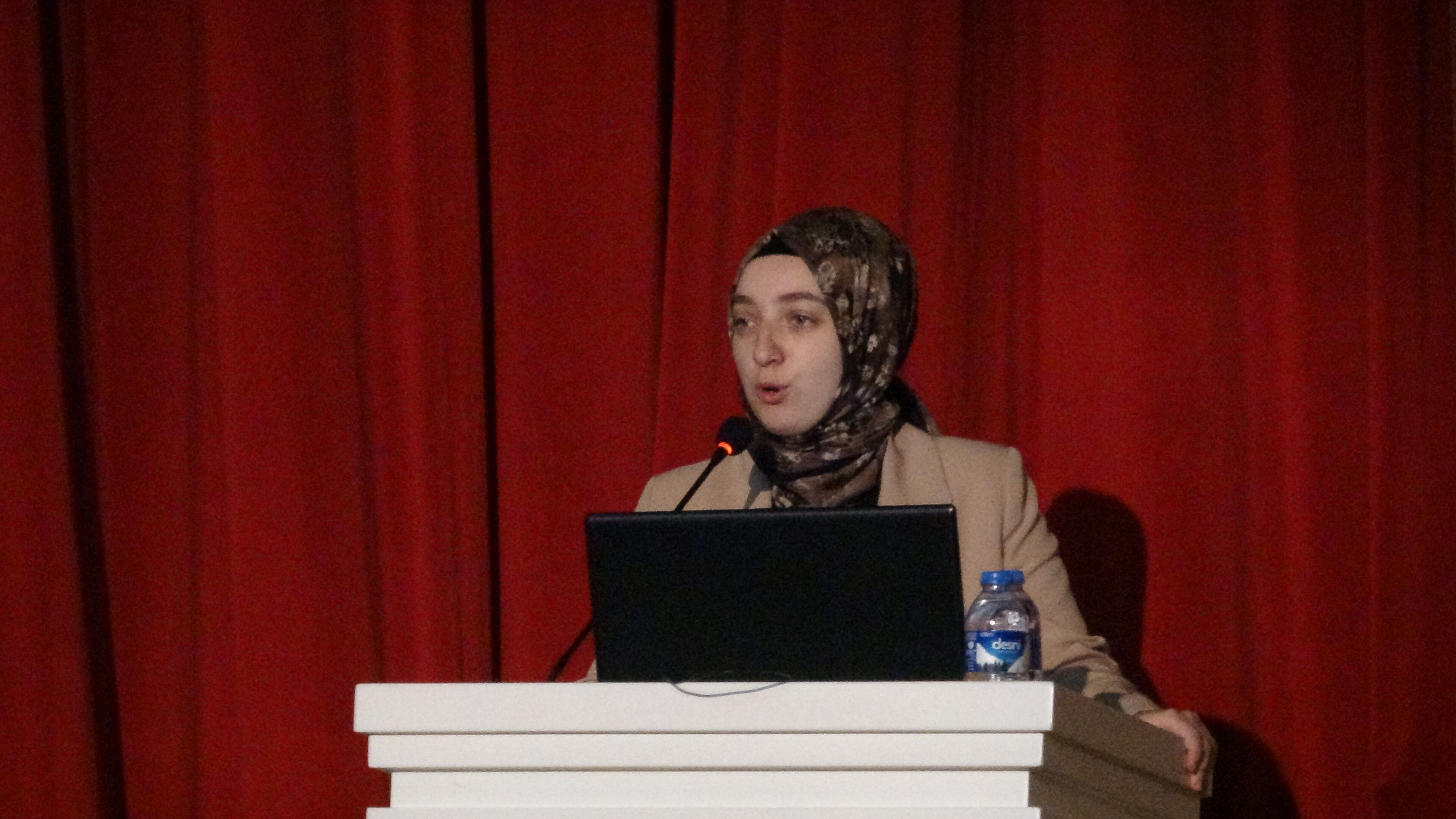 Erzincan’ın Jeolojik Mirası Unesco Yolunda Masaya Yatırıldı4