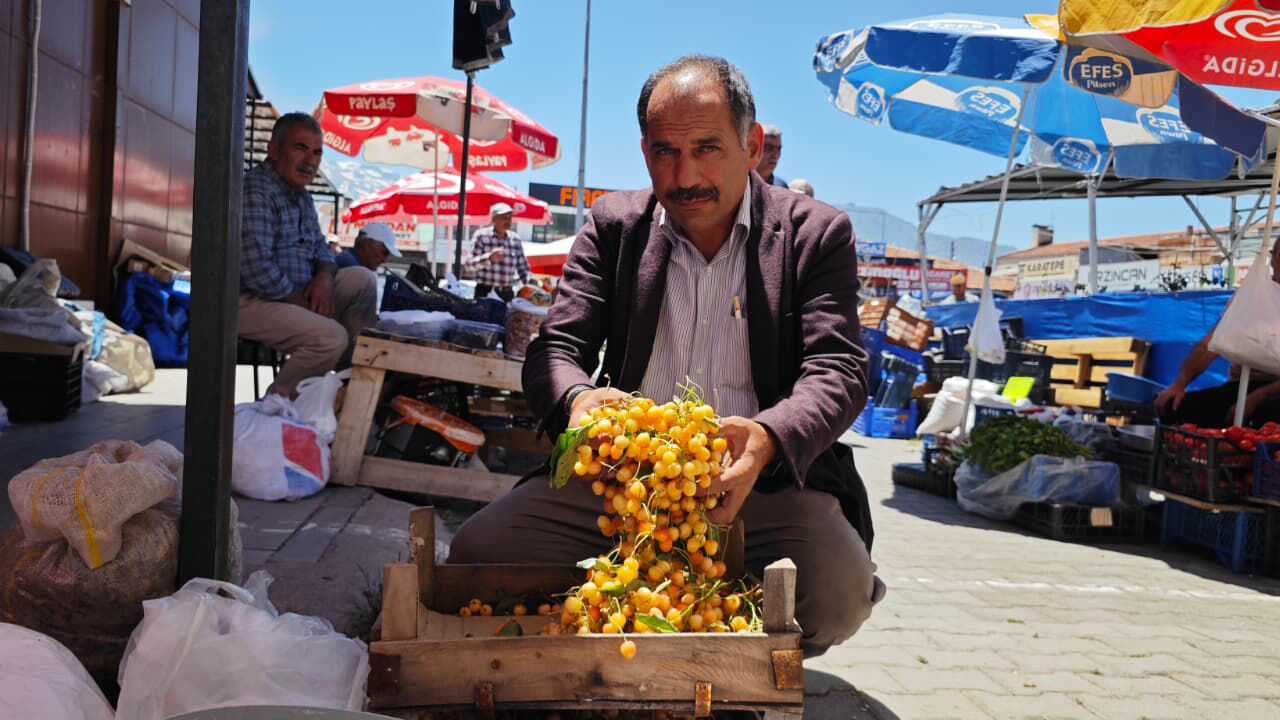 Erzincan'ın Yerli Kirazı Çıktı1