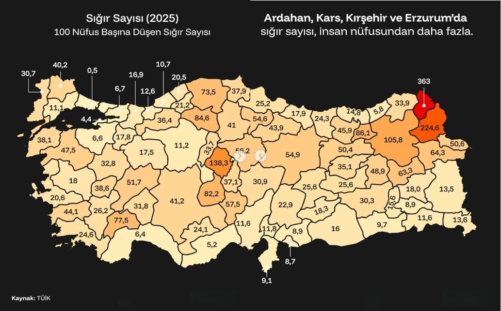 Kişi Başına Düşen Inek Sayısı