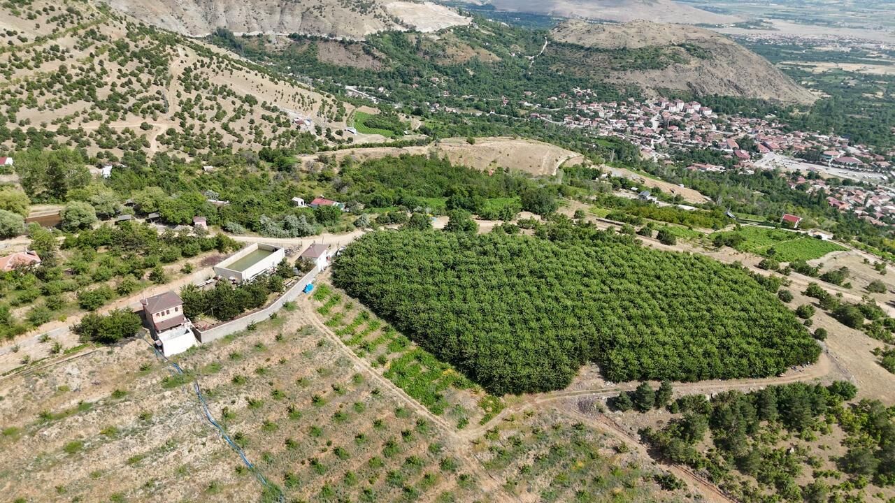1650 Metre Kiraz Hasadı (3)