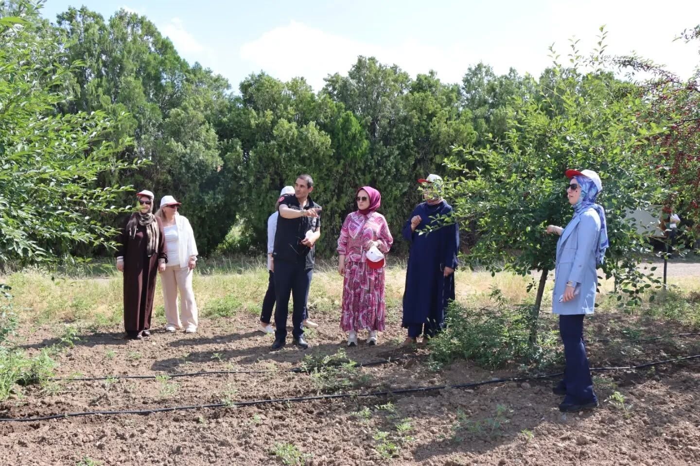 Bahçe Kültürleri Enstütisi