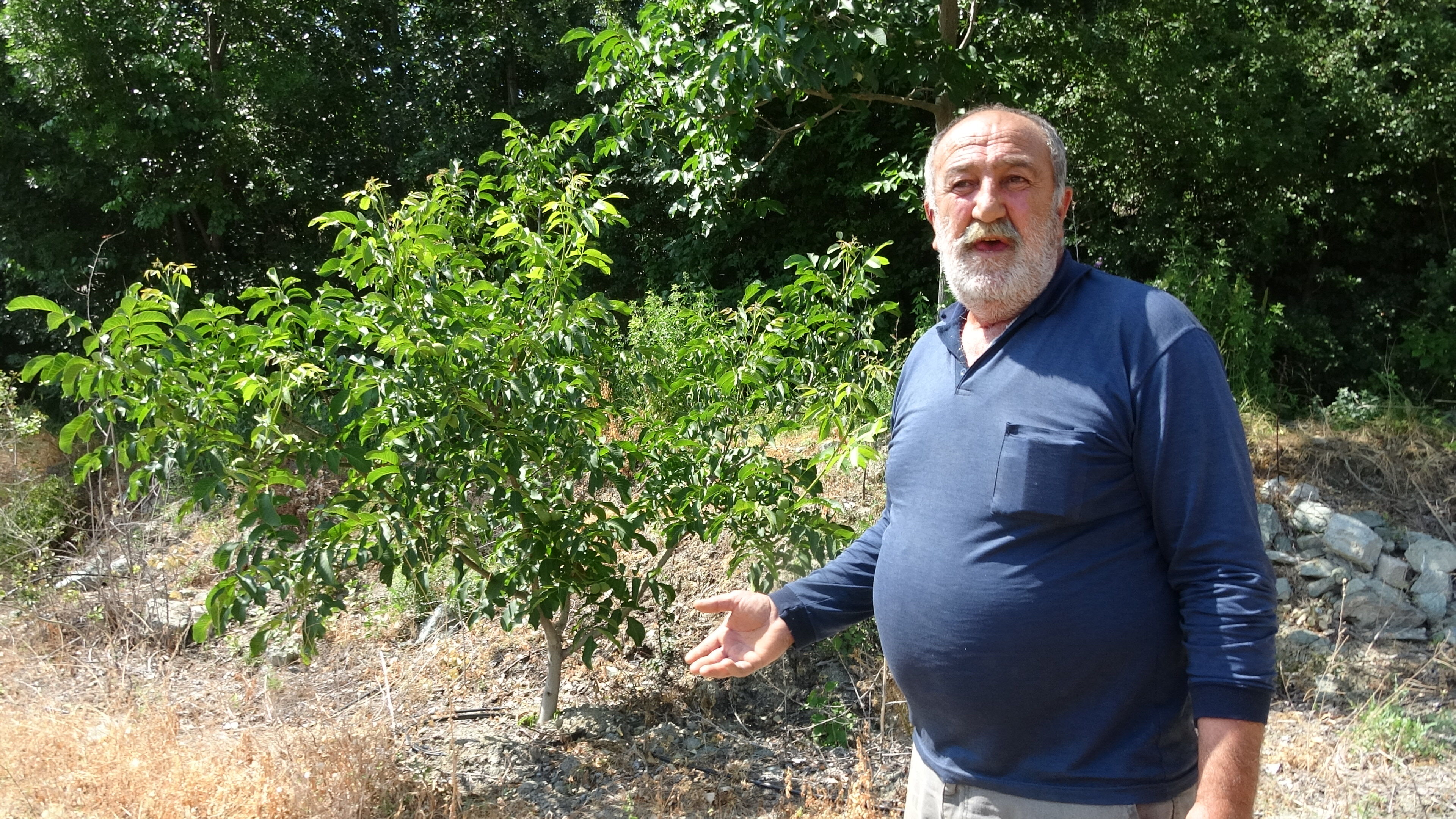 Erzincan Başpınar Mahallesi'nde Ayı Tehlikesi Ya Biz Bu Köyü Terk Edeceğiz Ya Da Bu Sorun Bitecek!2