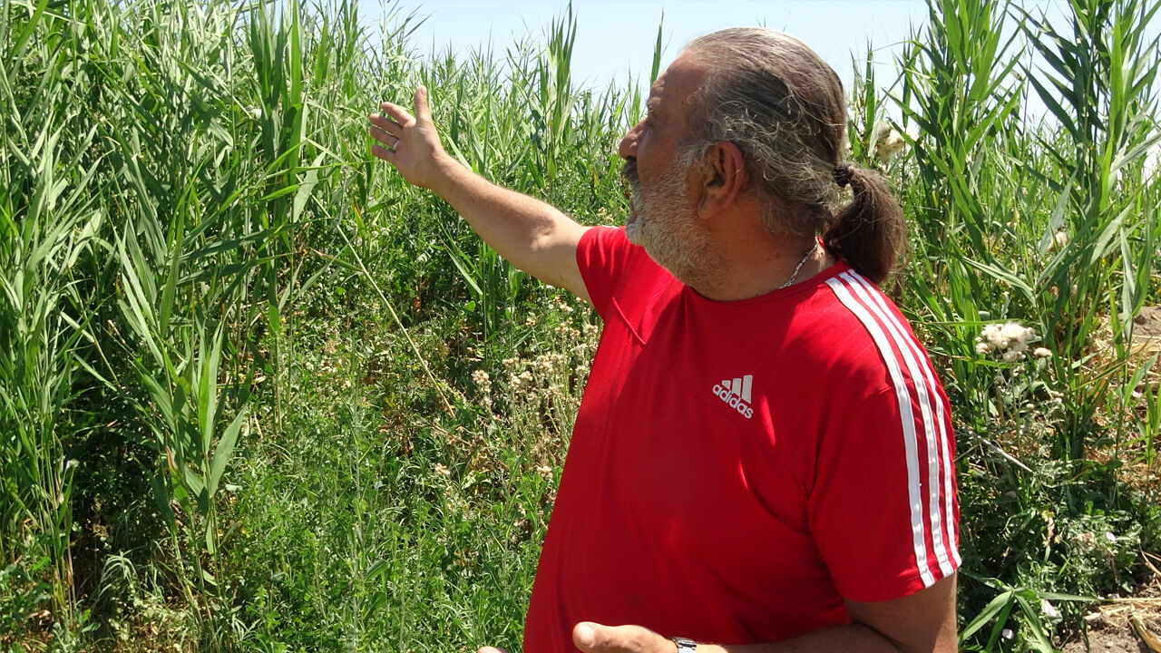 Erzincan Bu Köyde Yakında Kavgalar Başlarsa Bunun Sorumlusu Bizler Değiliz.1