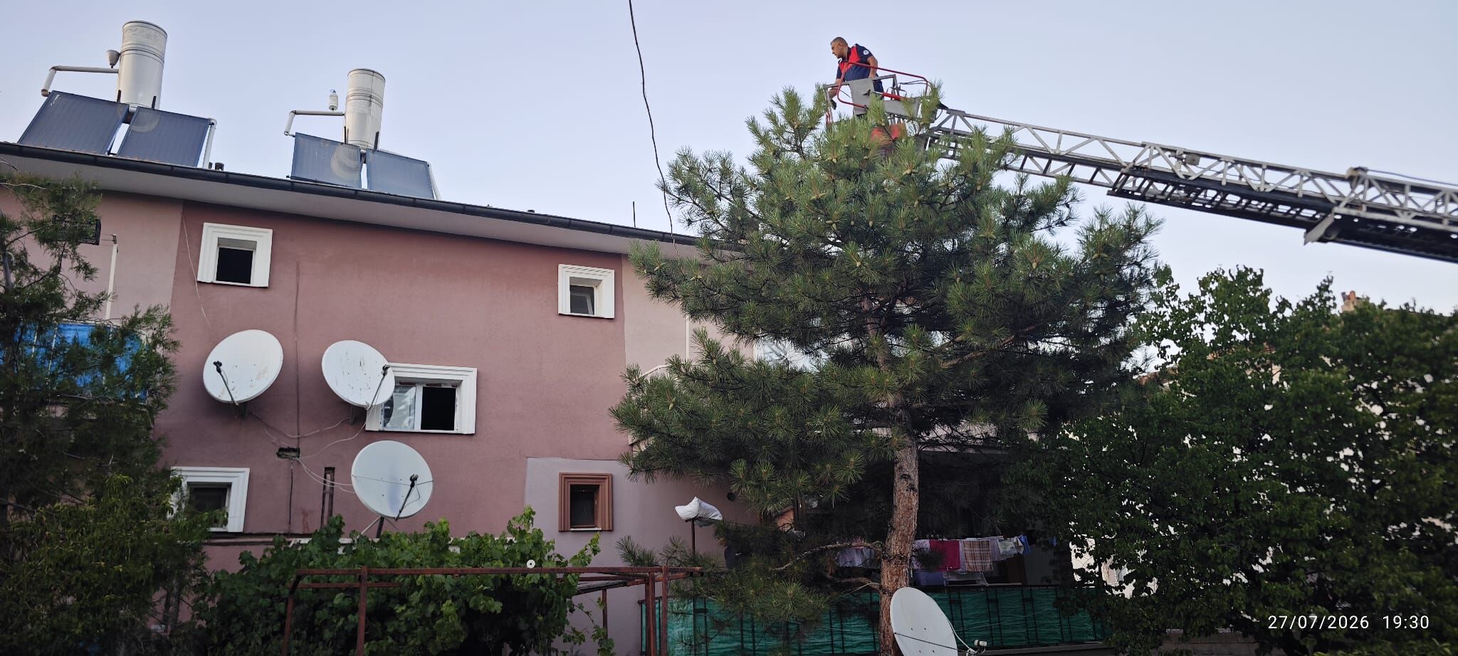 Erzincan'da Çatıda Mahsur Kalan Kedi İçin Zamanla Yarış!3
