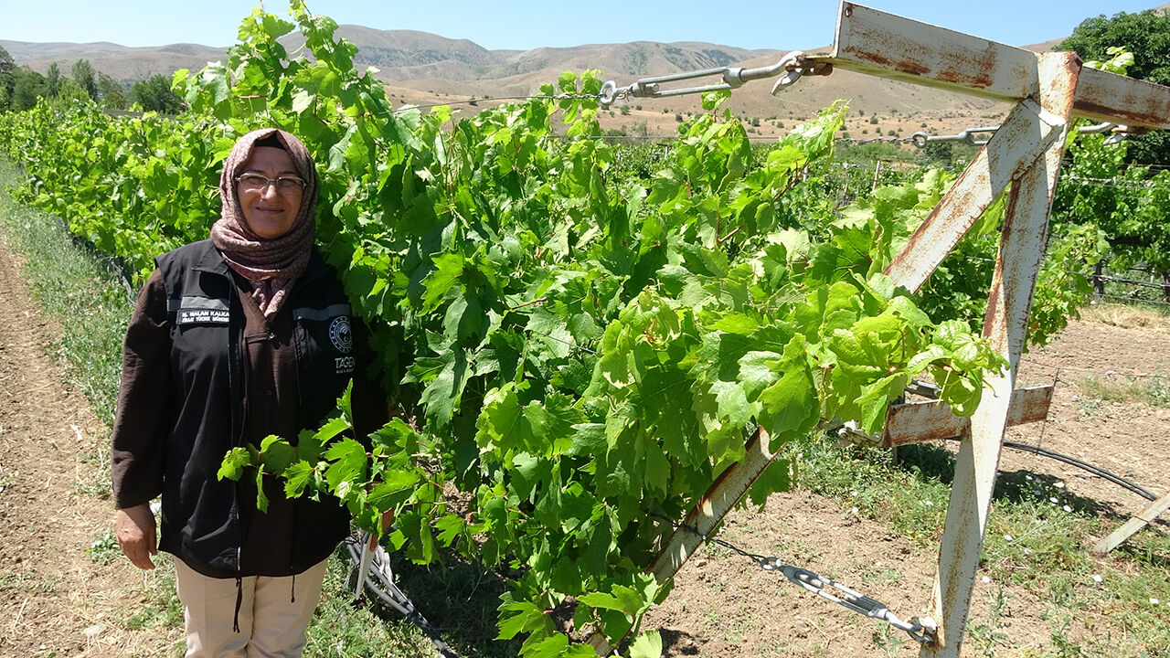 Erzincan’da Çiftçiler İçin Yeni Bir Ekonomik Gelir Kapısı Tanıtıldı.33