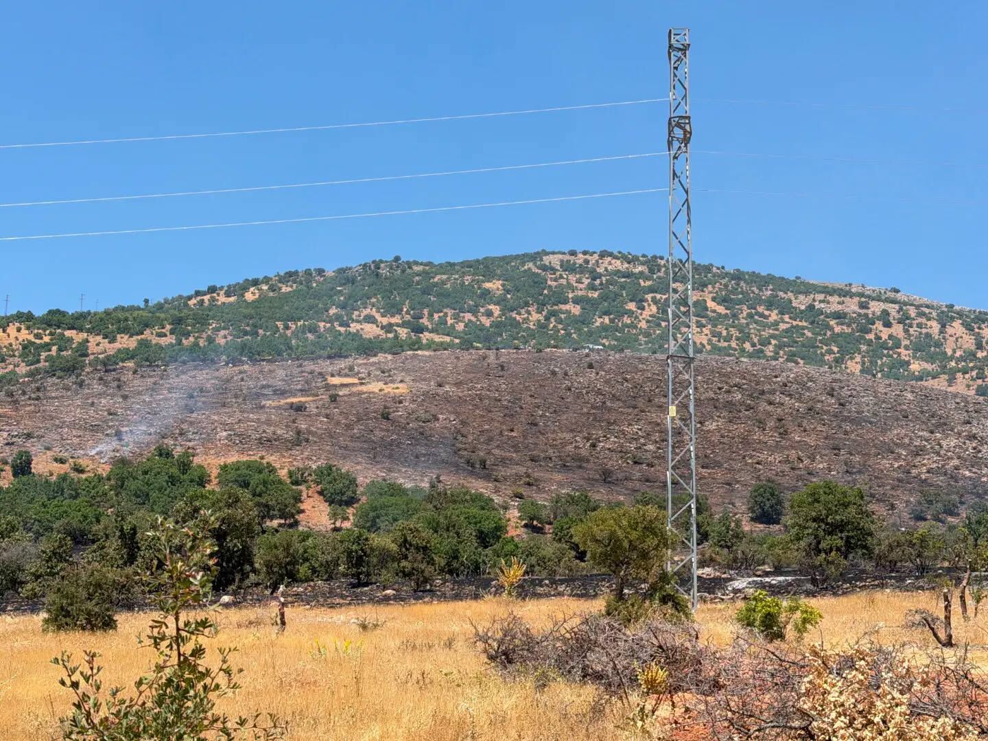 Kemaliye Yangın (4)-1