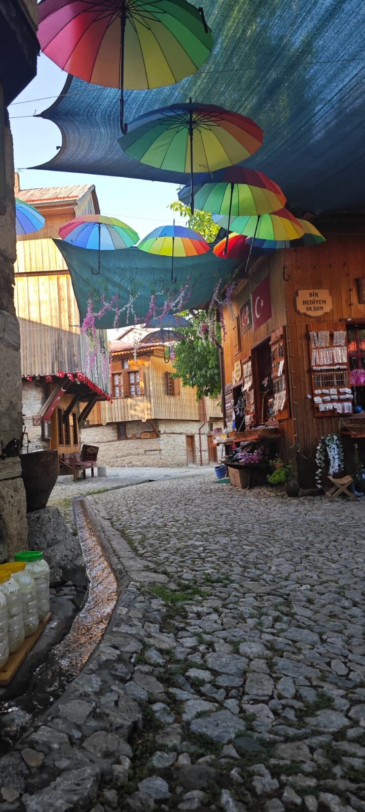‘Orda Bir Köy Var Uzakta’ Şiiri Erzincan’ın Hangi Köye Yazılmış. İşte O Köy11