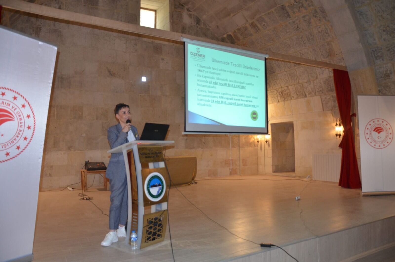Tercan Balı (3)
