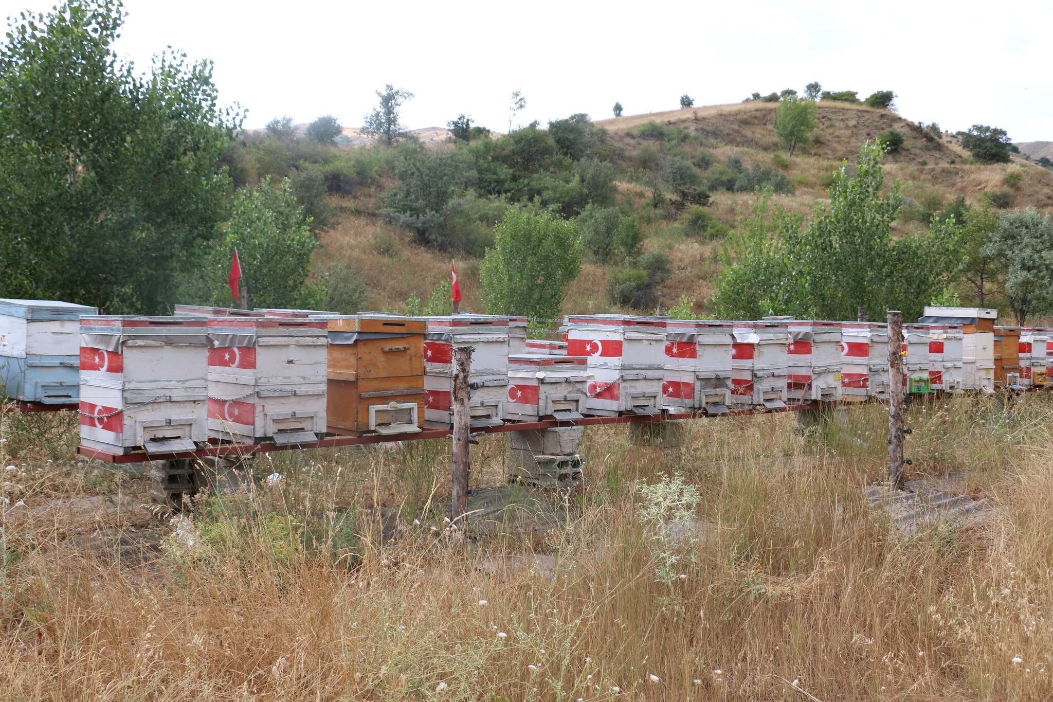 Bayraklı Arılık (2)