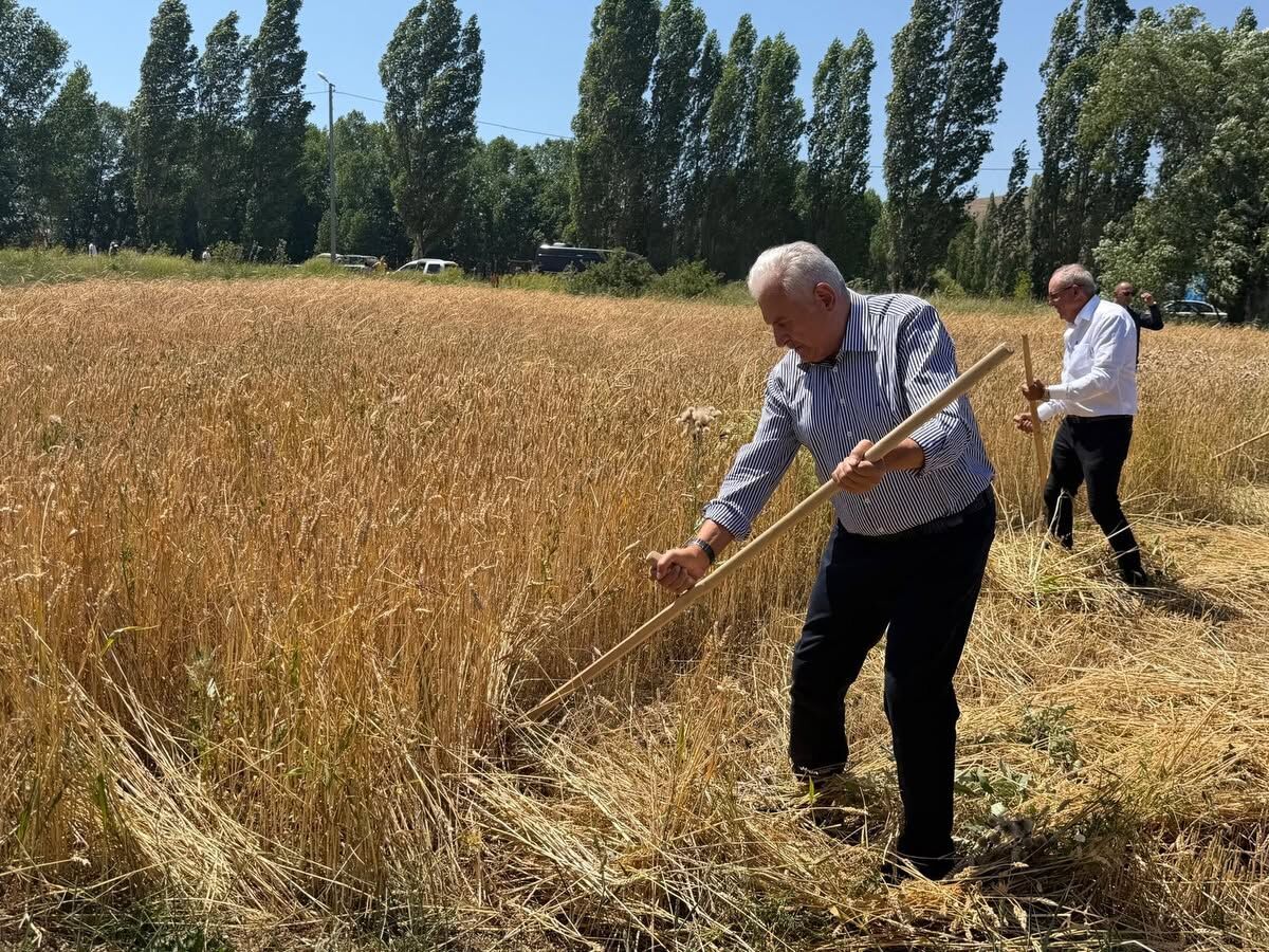 Binali Yıldırım Harman Şenliği (1)