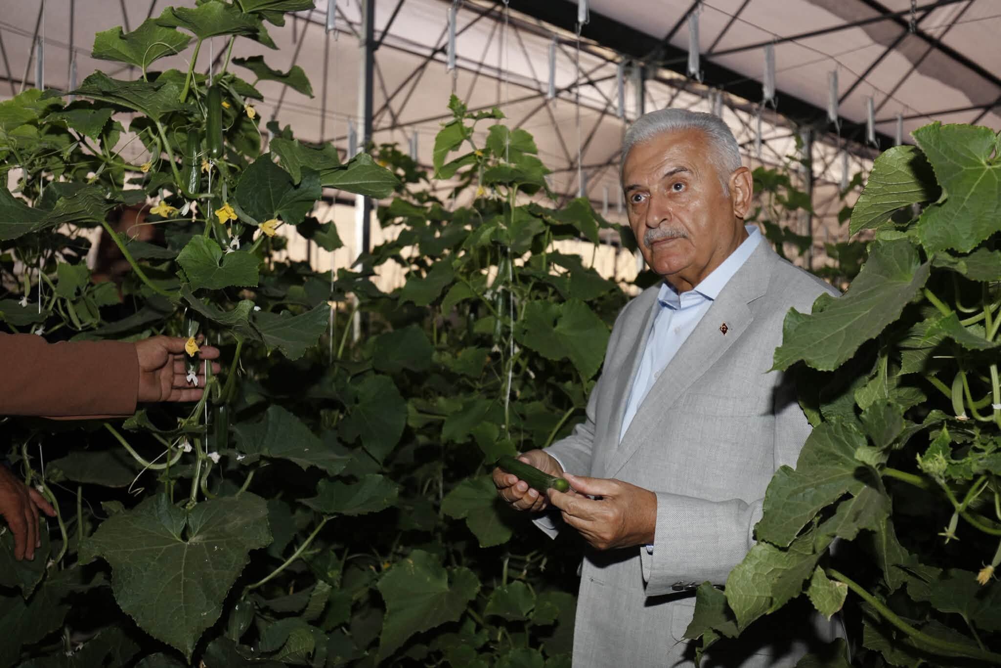 Çayırlı'da Üretime Güç Katacak Sera Tesisi Hizmete Girdi (4)