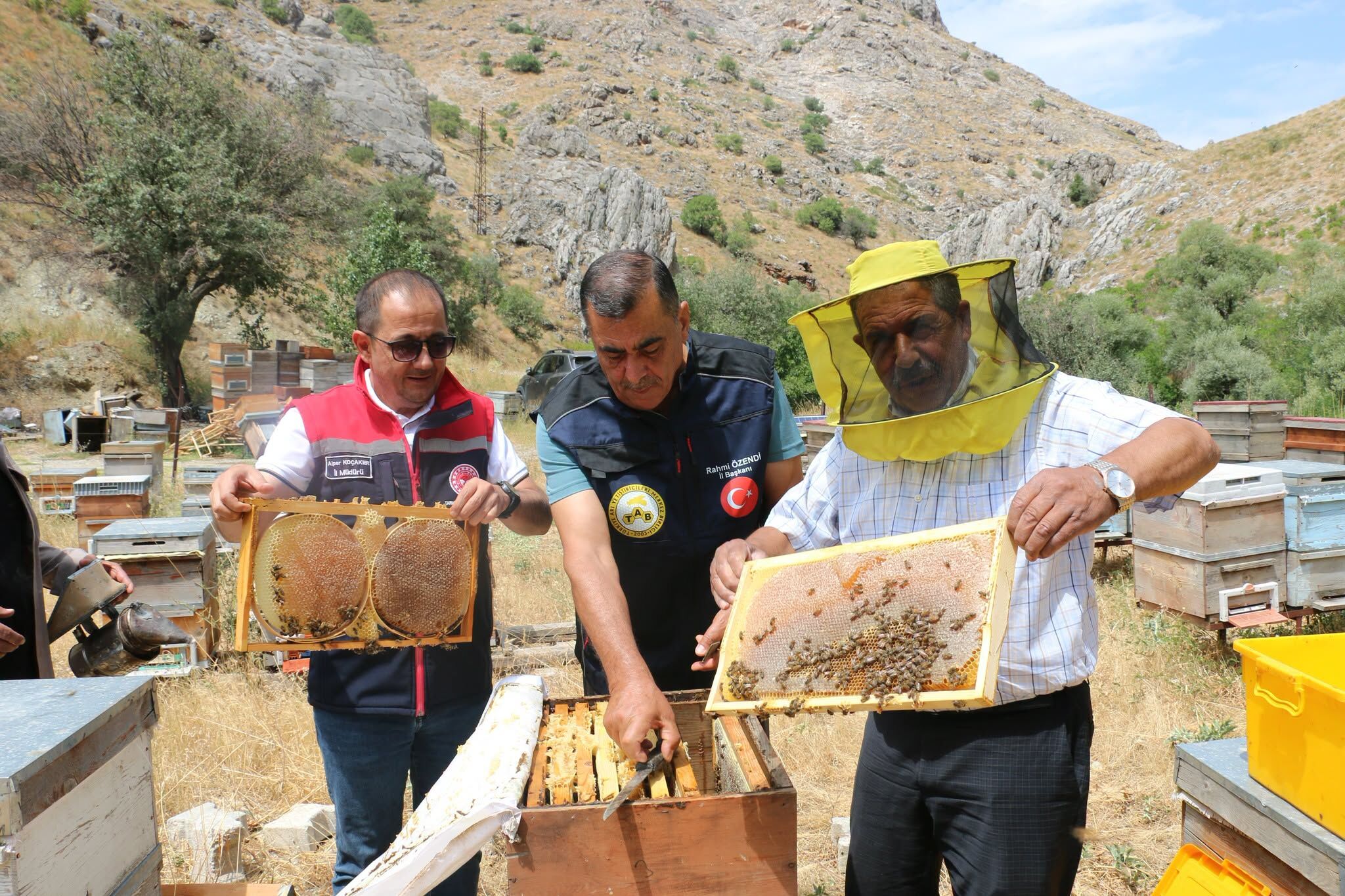 Erzincan Arıcılık (3)