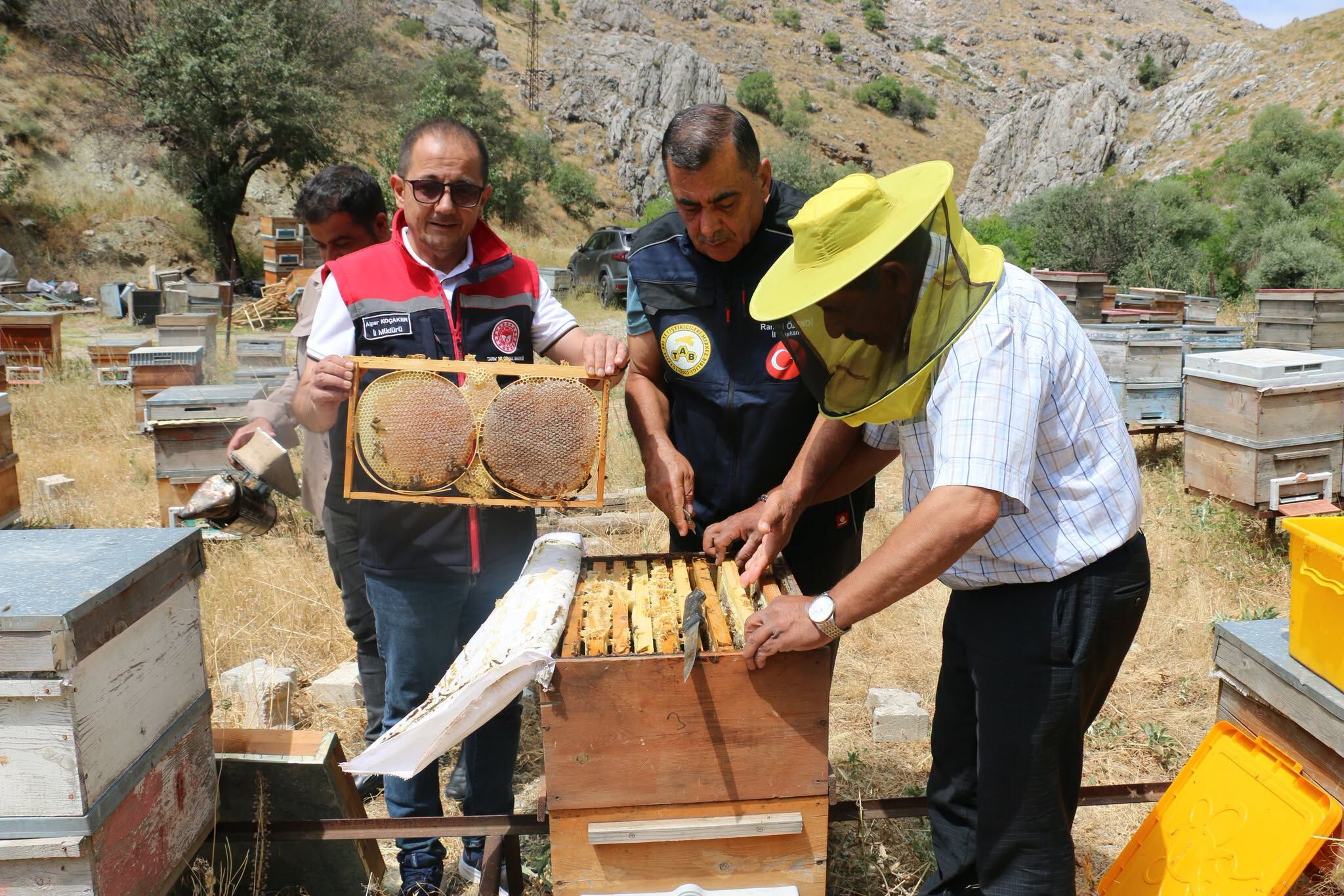 Erzincan Arıcılık (4)