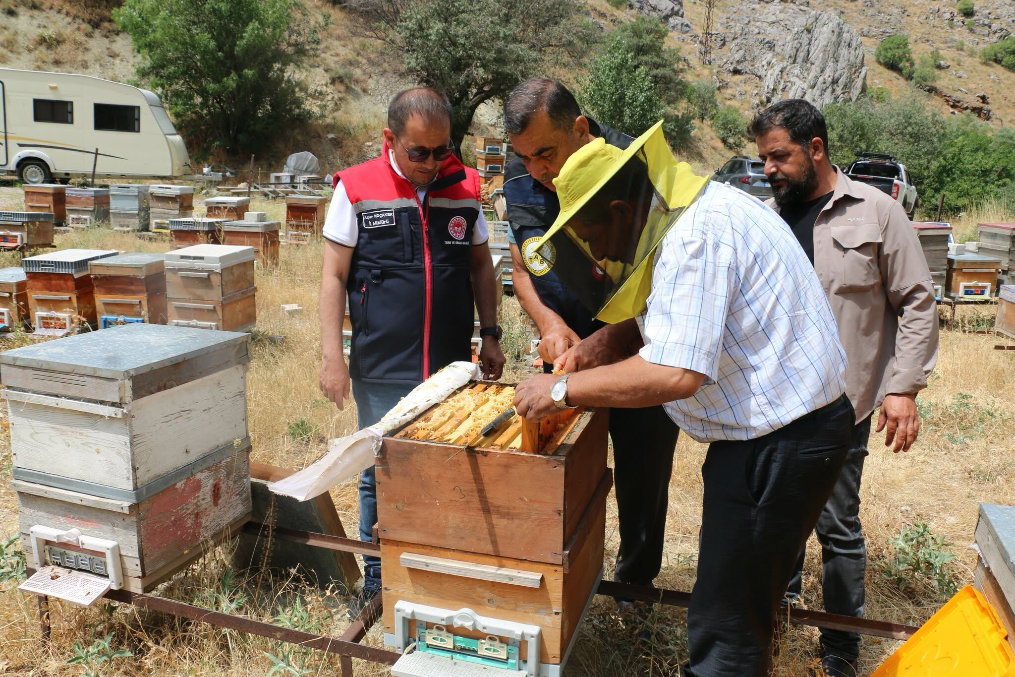 Erzincan Arıcılık (5)