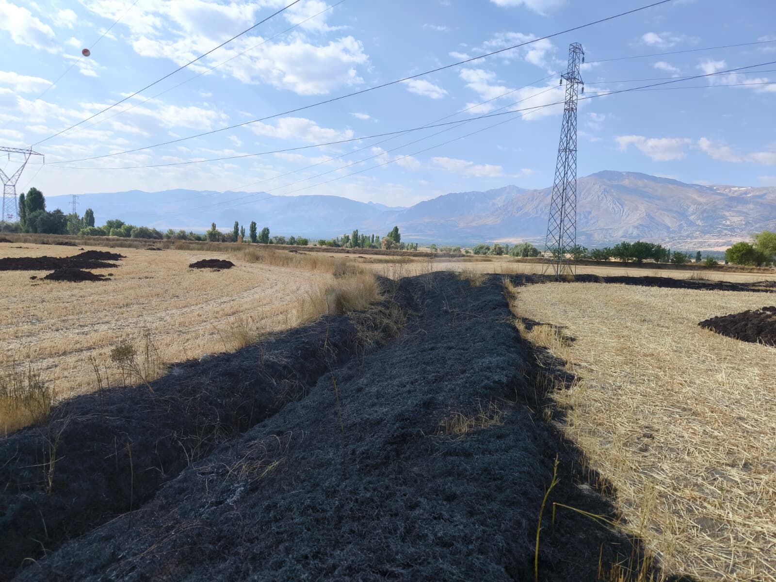 Erzincan’da Arazi Yangını Paniğe Neden Oldu (2)