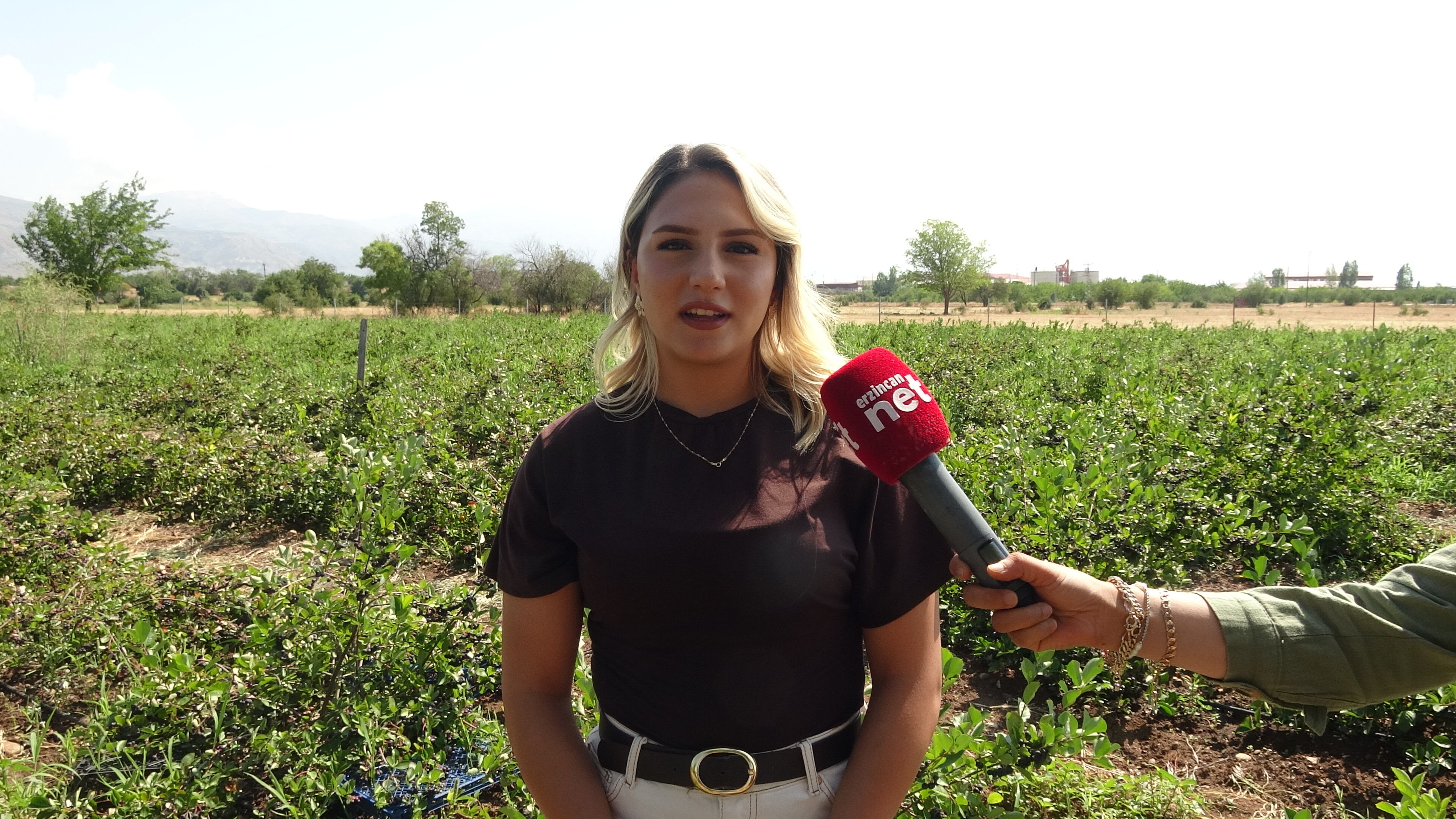 Erzincan’da Bir Kadın Girişimcinin Toprakla Yazdığı Hikâye Her Şey Bir Aronya Fidanıyla Başladı1