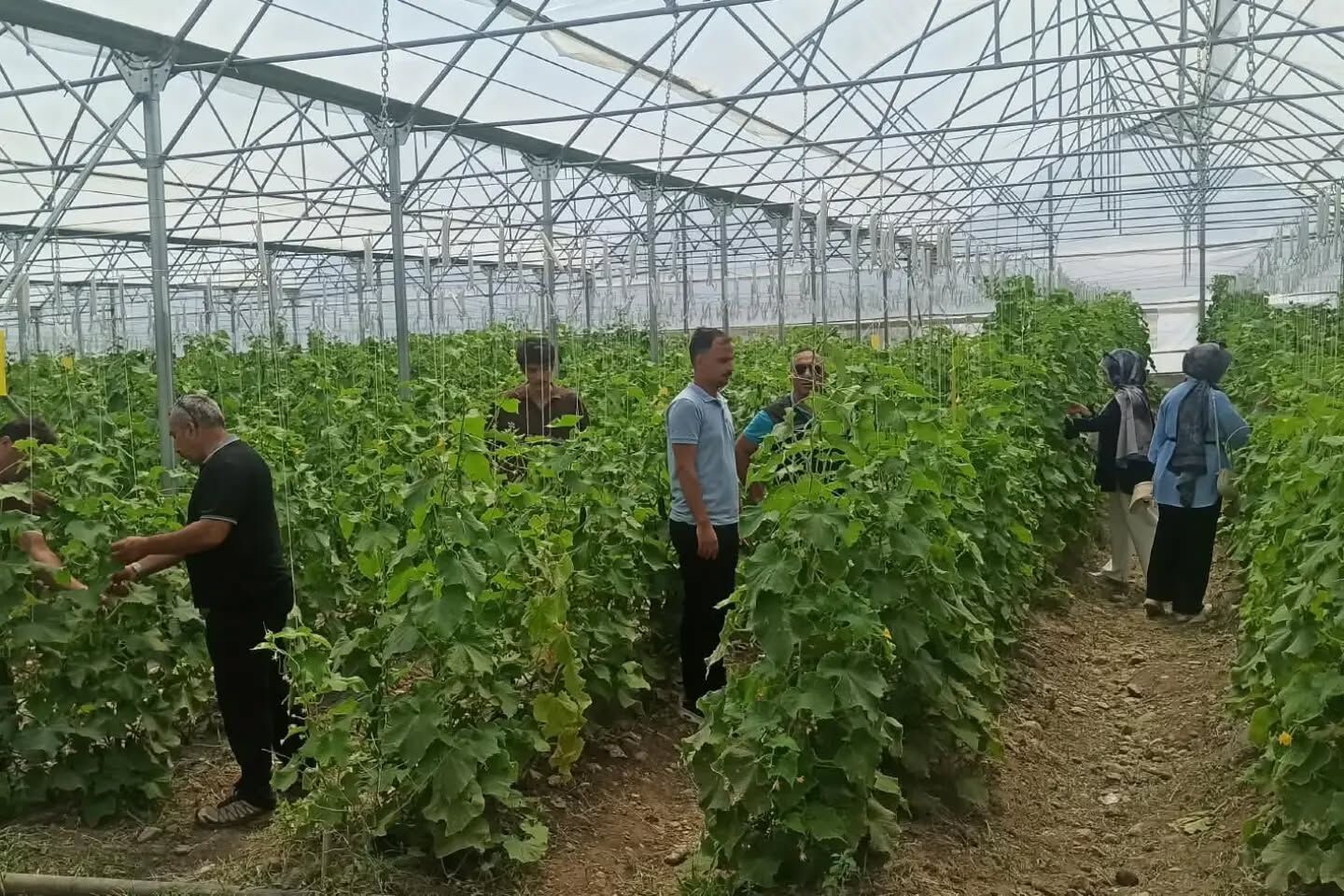 Geleceğin Tarım Uzmanları Erzincan Enstitüde Yetişiyor (1)