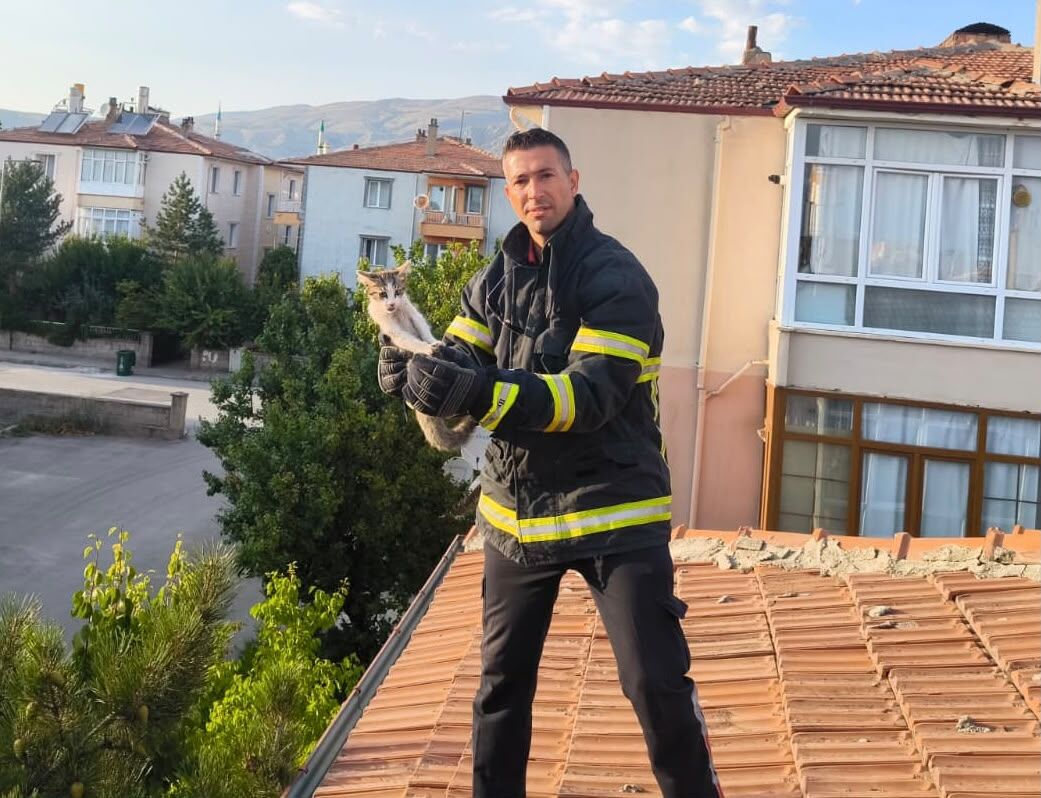 Kedi Kurtarma Operasyonu (2)-1