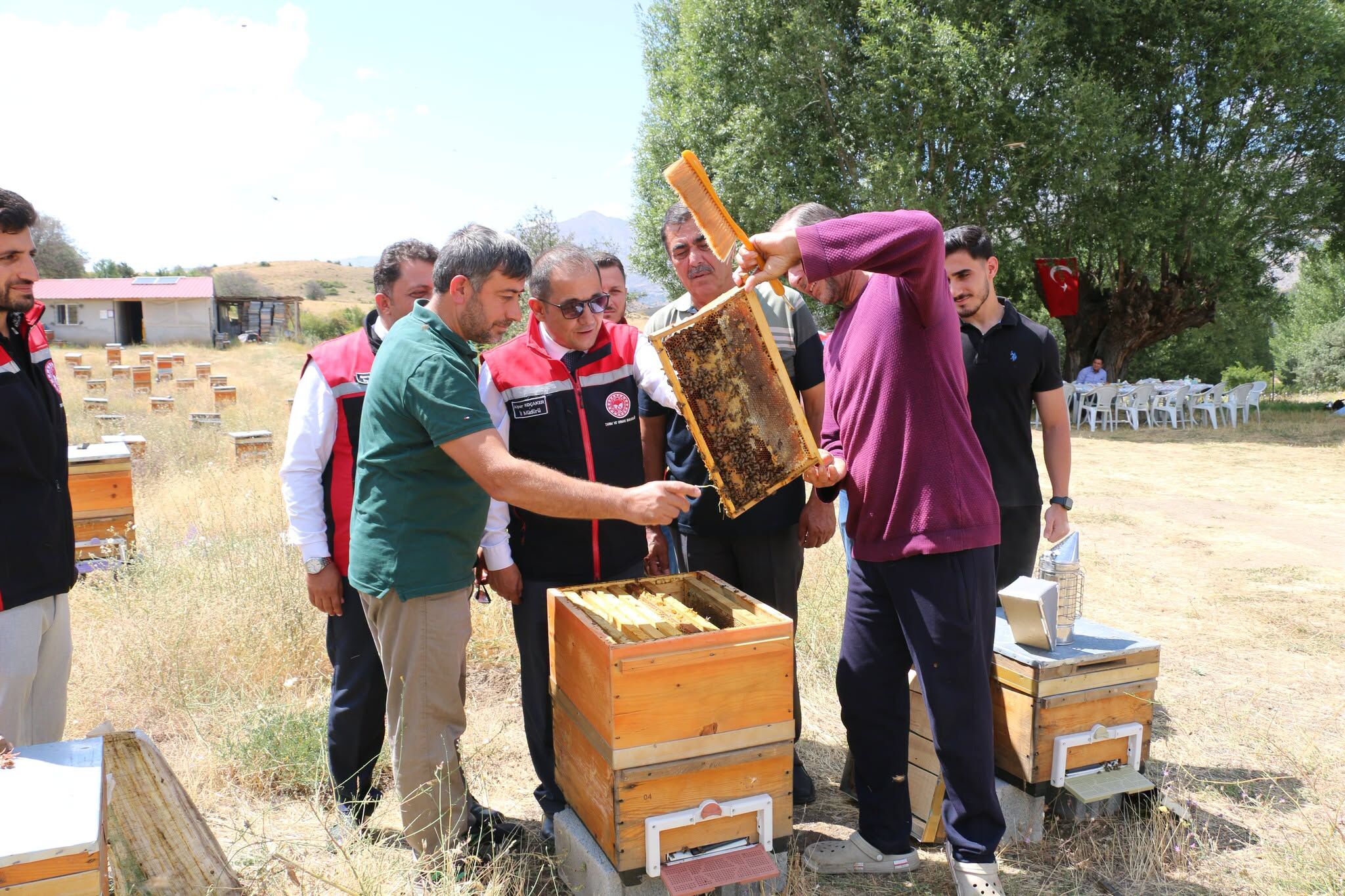 Organik Arıcılık (3)